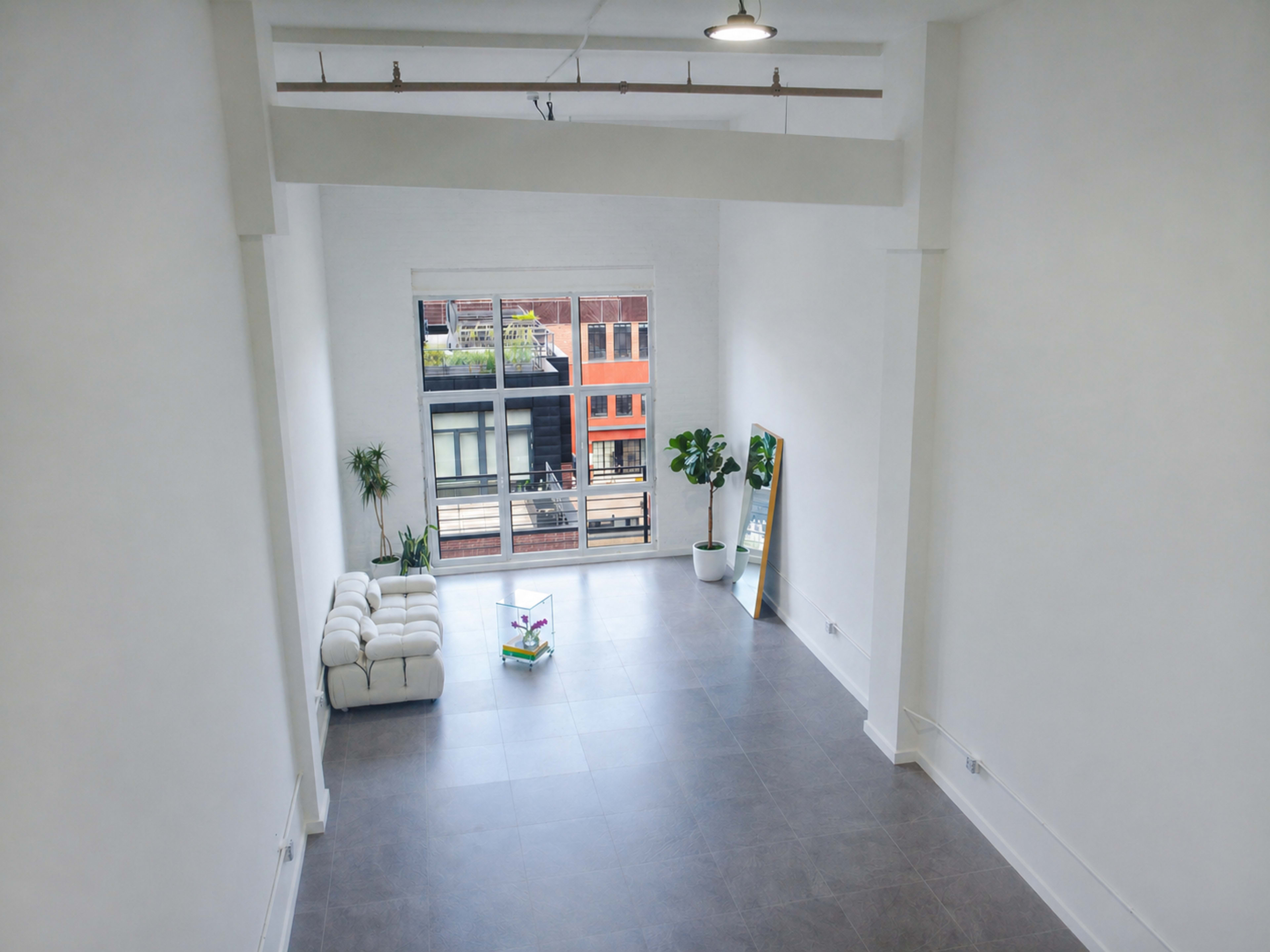 The image shows a spacious, modern room with white walls, large windows, a leather couch, and a potted plant.
