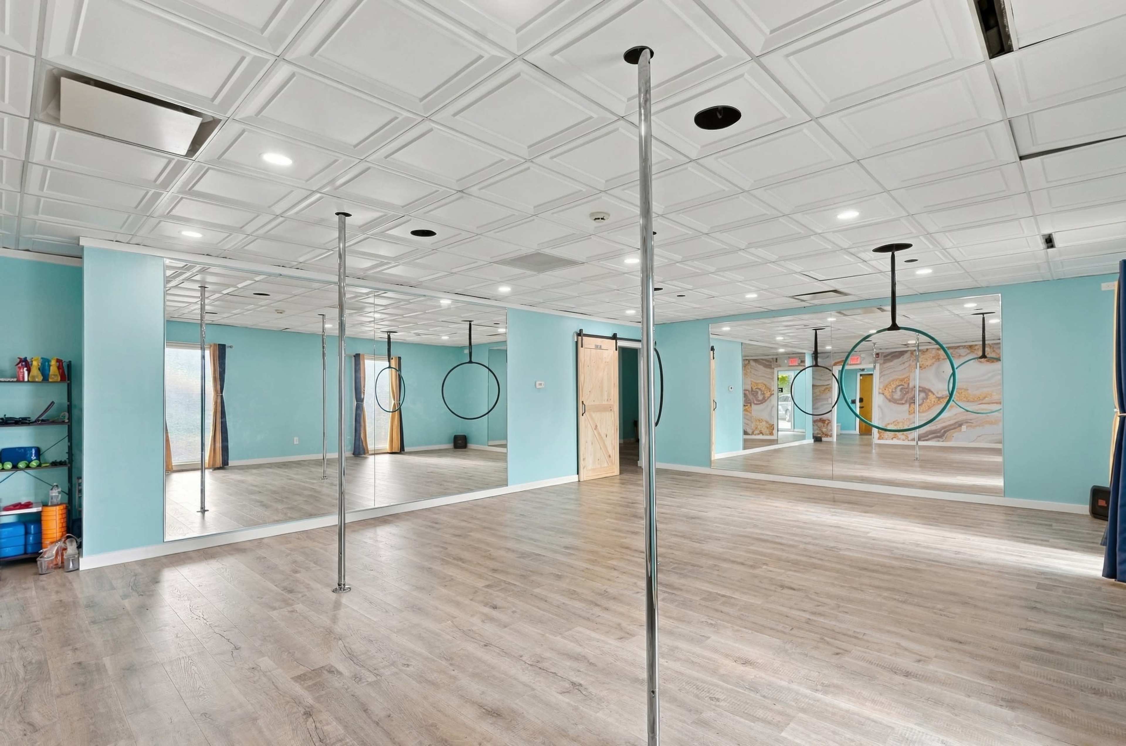 The image shows a brightly lit dance studio featuring mirrored walls, wooden flooring, and two metal poles along with aerial hoops.