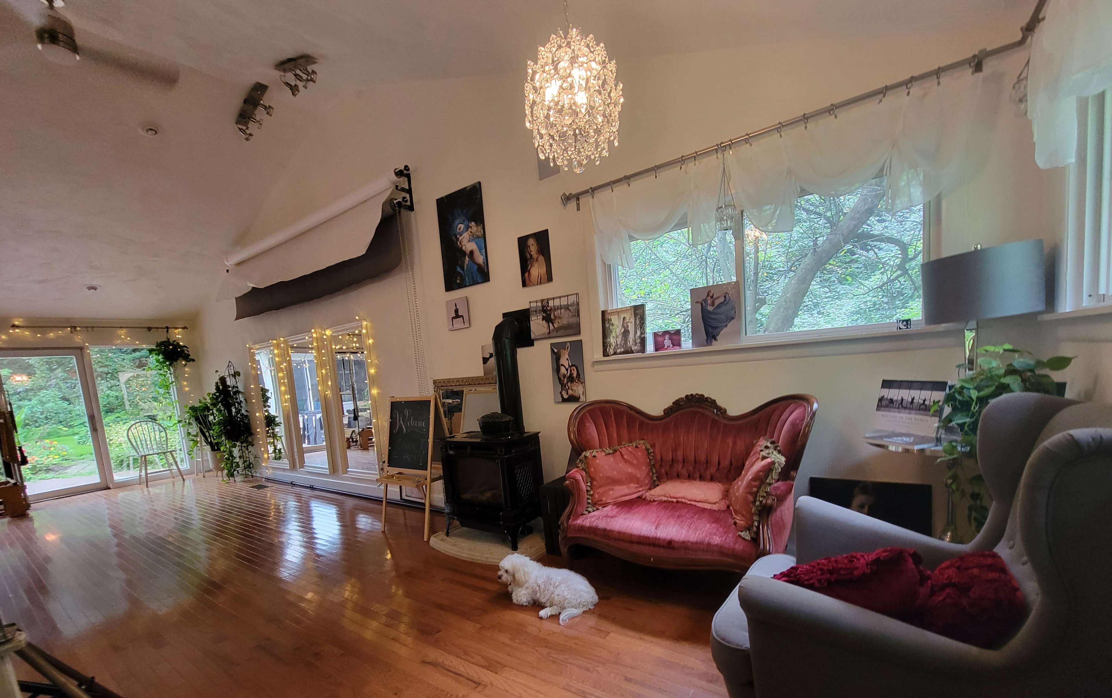 The image shows a spacious living area with hardwood floors, a pink vintage sofa, a grey armchair, framed photographs on the walls, and a dog resting on the floor.