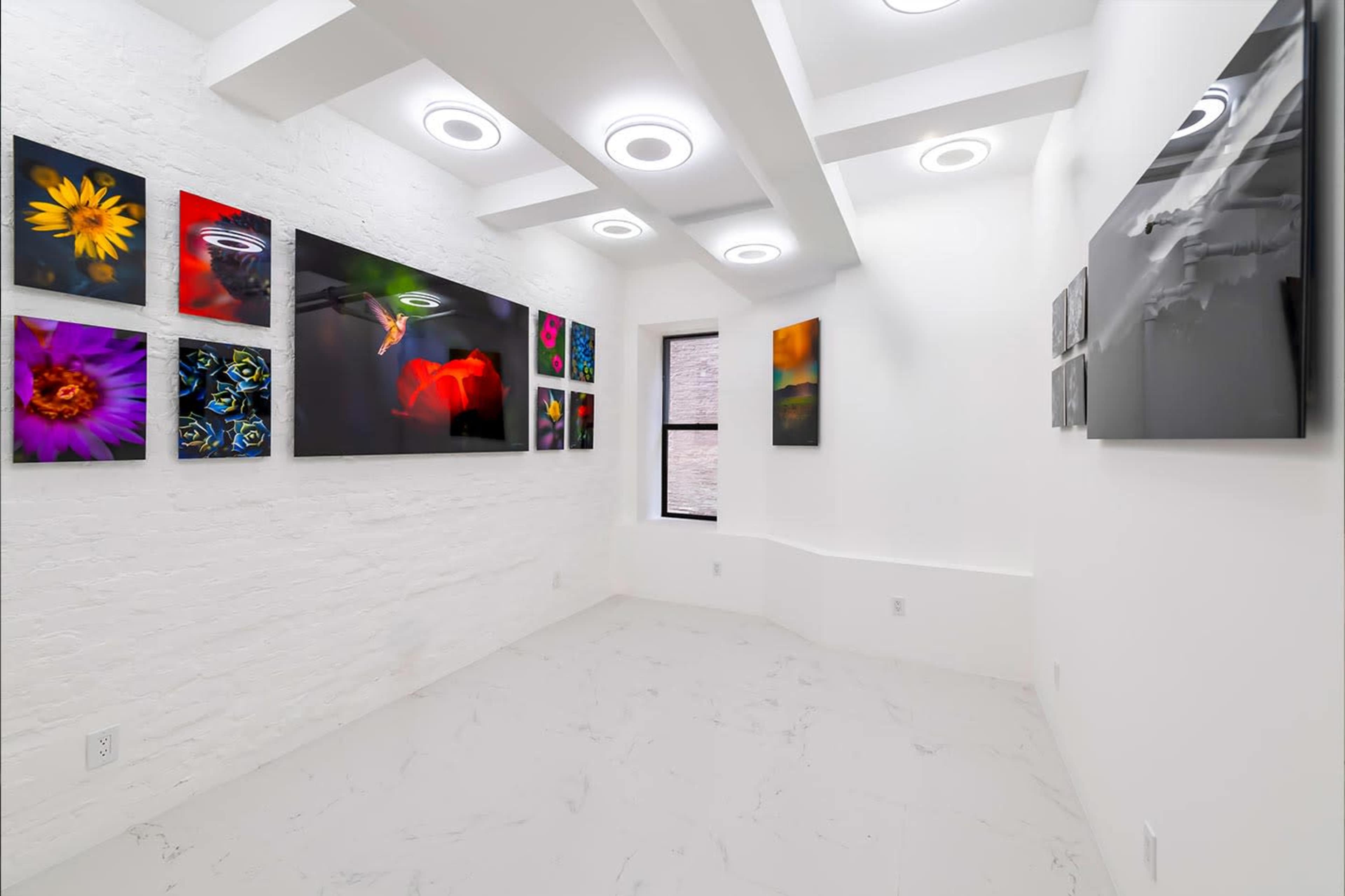 The image shows a bright, modern gallery space featuring white walls and multiple framed photographs of flowers and abstract designs.
