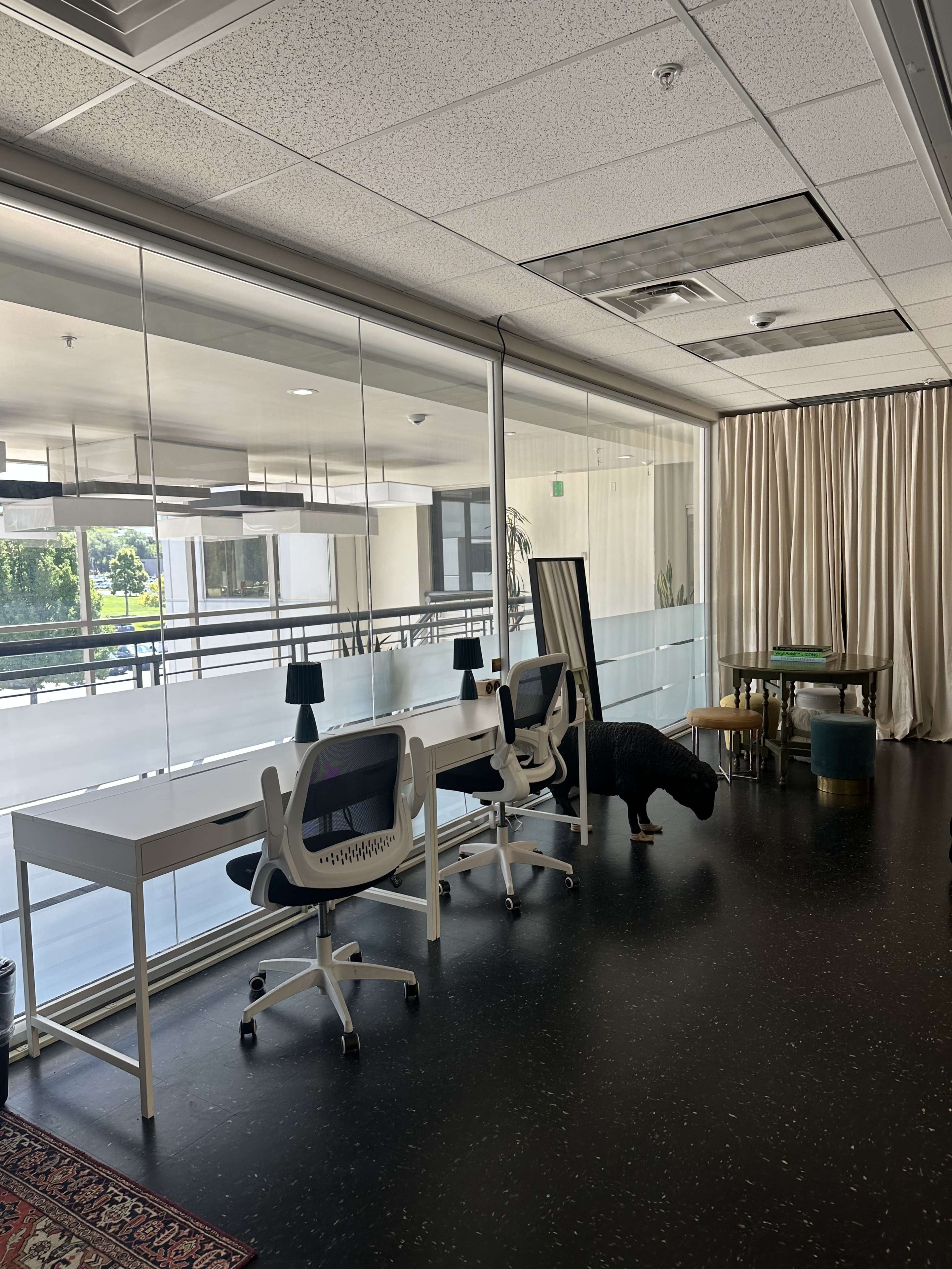 The image shows a modern office space with white desks, ergonomic chairs, and a dog near the window, enclosed by glass walls.