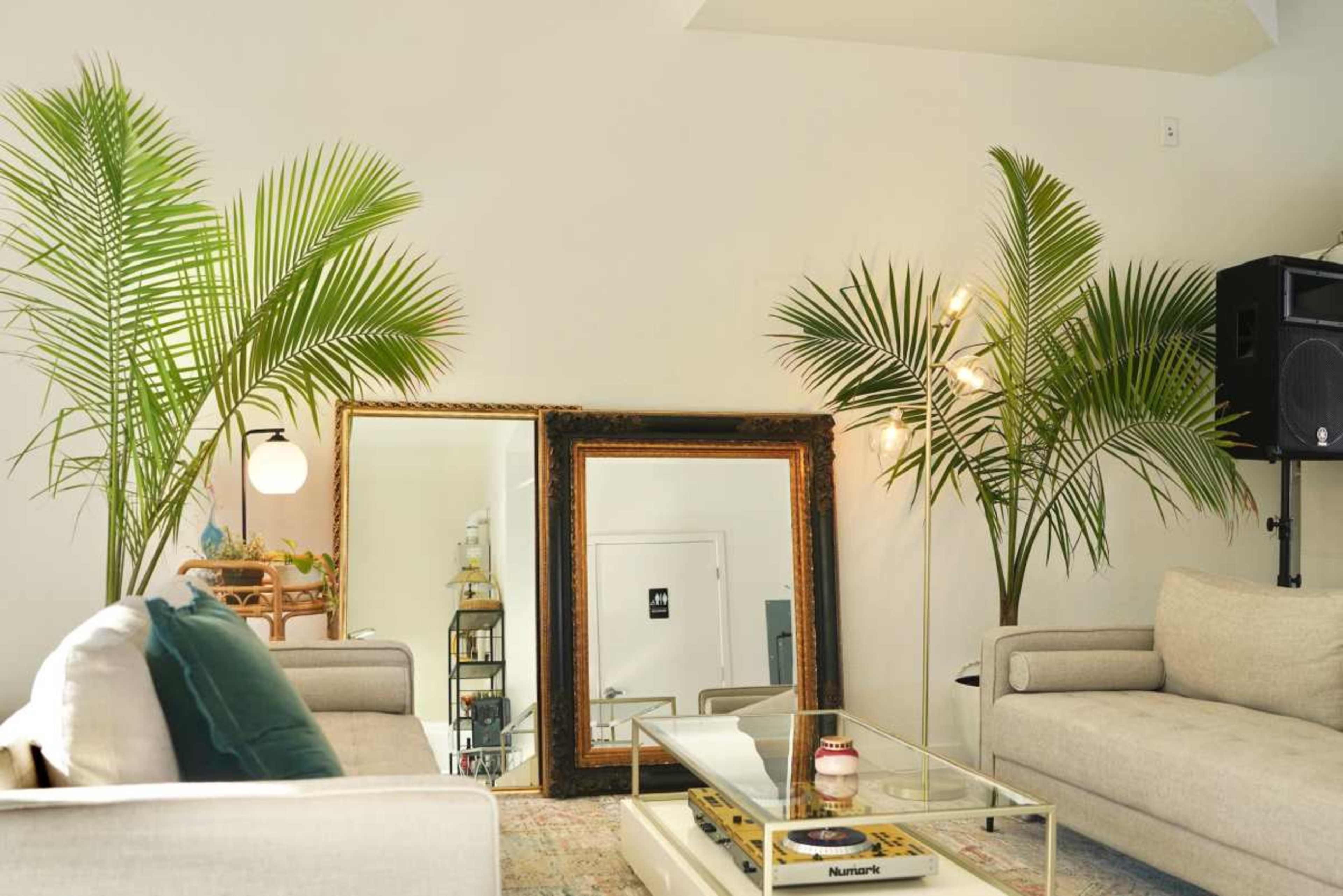 A living room features two sofas, a coffee table, two indoor palm plants, and three mirrors on the wall.