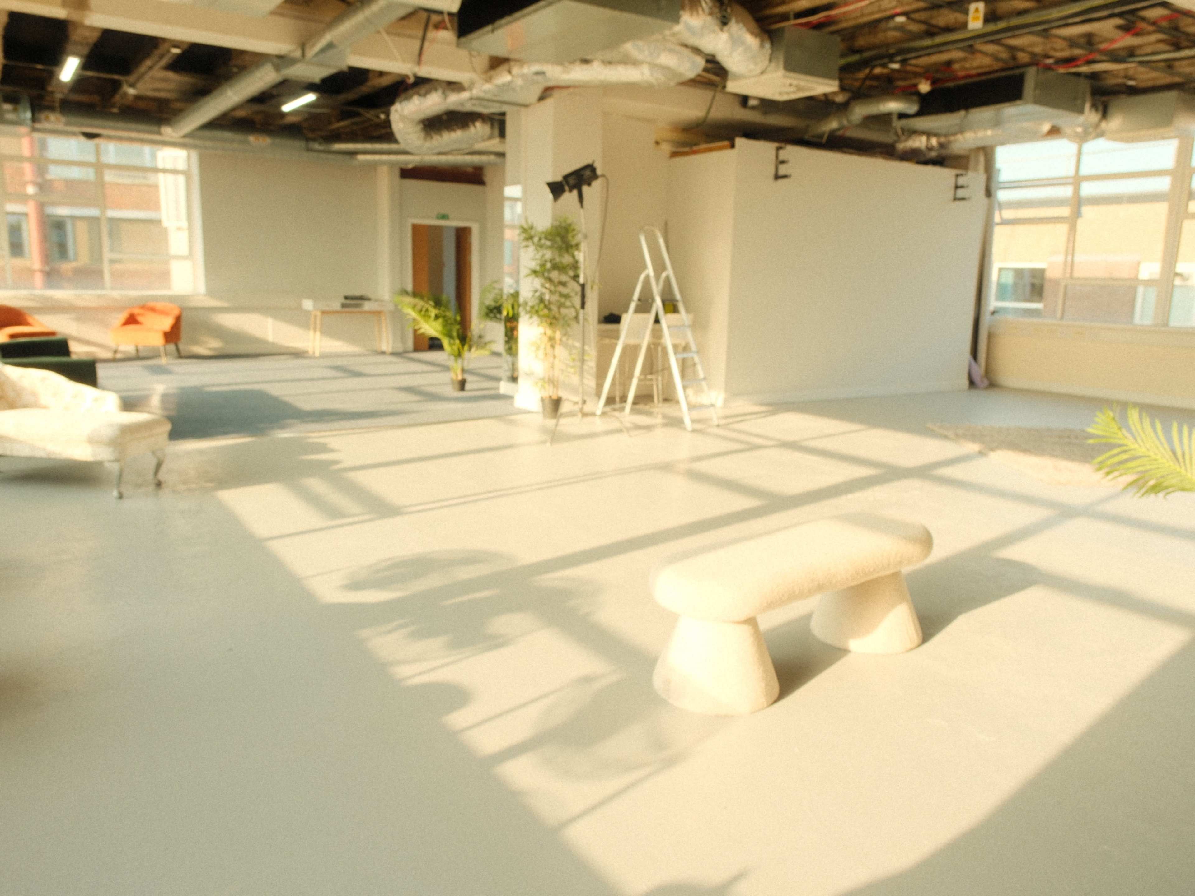 The image shows a bright, open studio space with a minimalistic design featuring a bench, a ladder, and various plants scattered around the room.