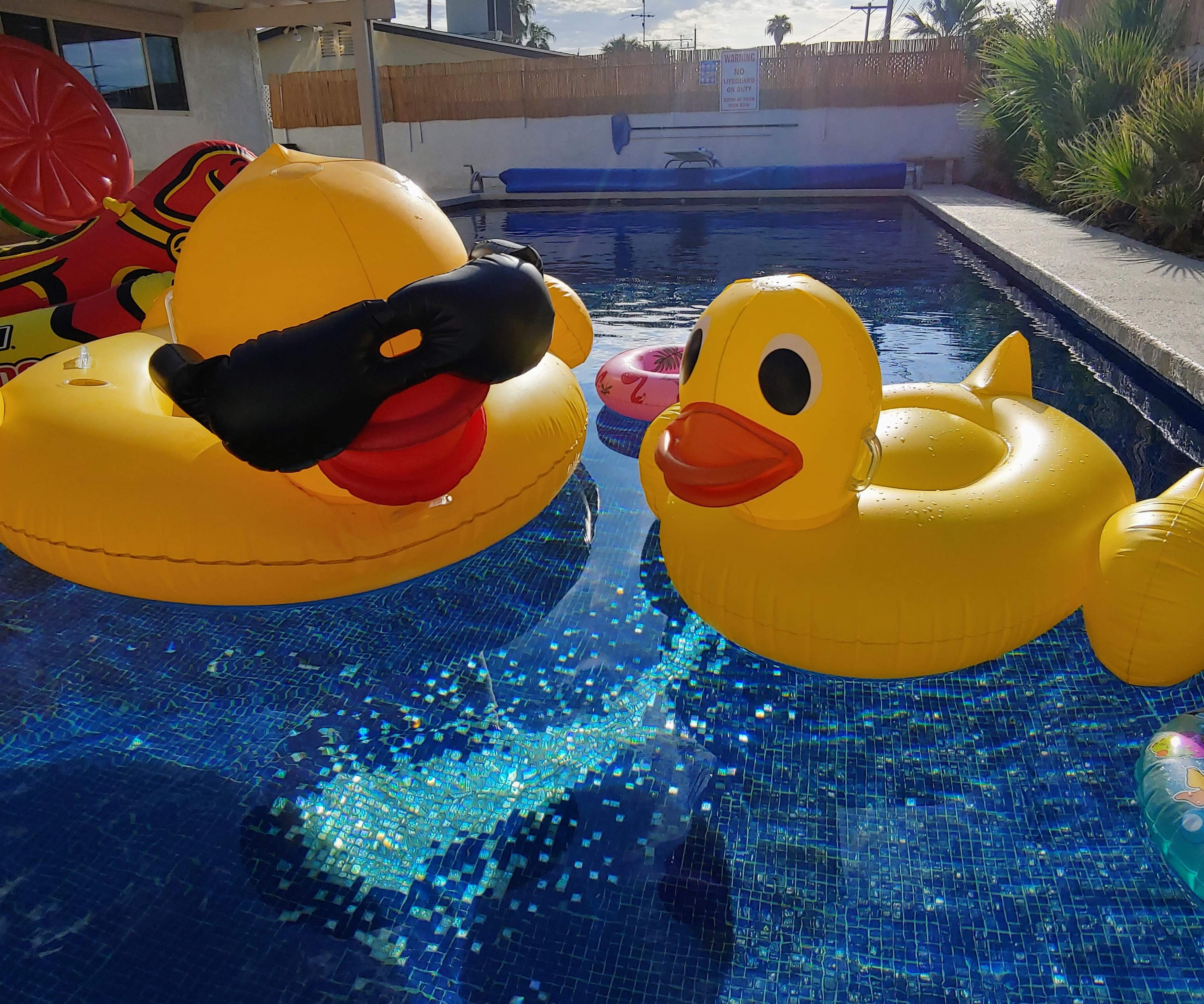 Mid-Mod Magic: Your Perfect Las Vegas Shoot Location Image in Winchester, Las Vegas, NV