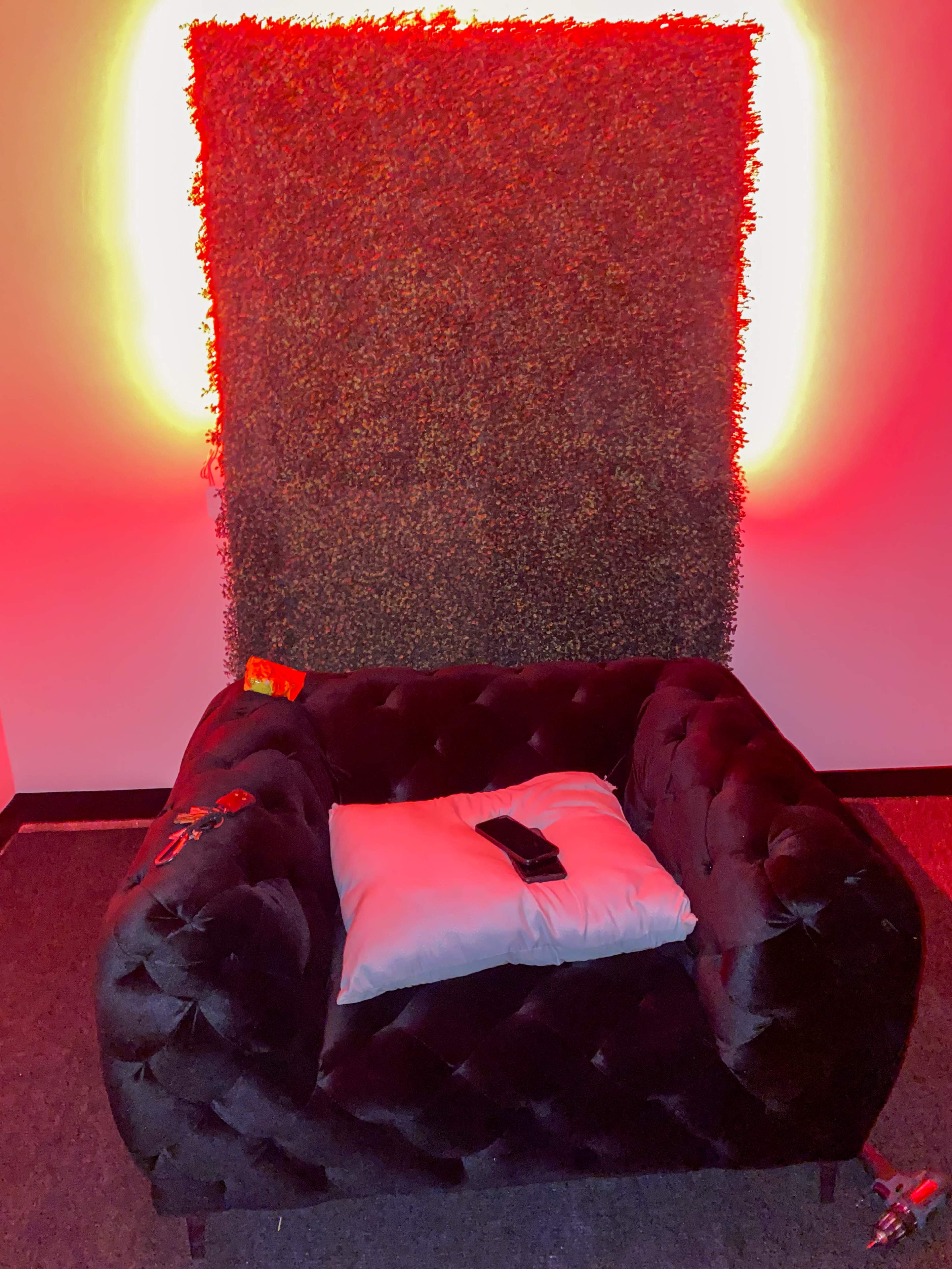 A plush black couch with a white pillow sits against a wall adorned with greenery and illuminated by a red light.