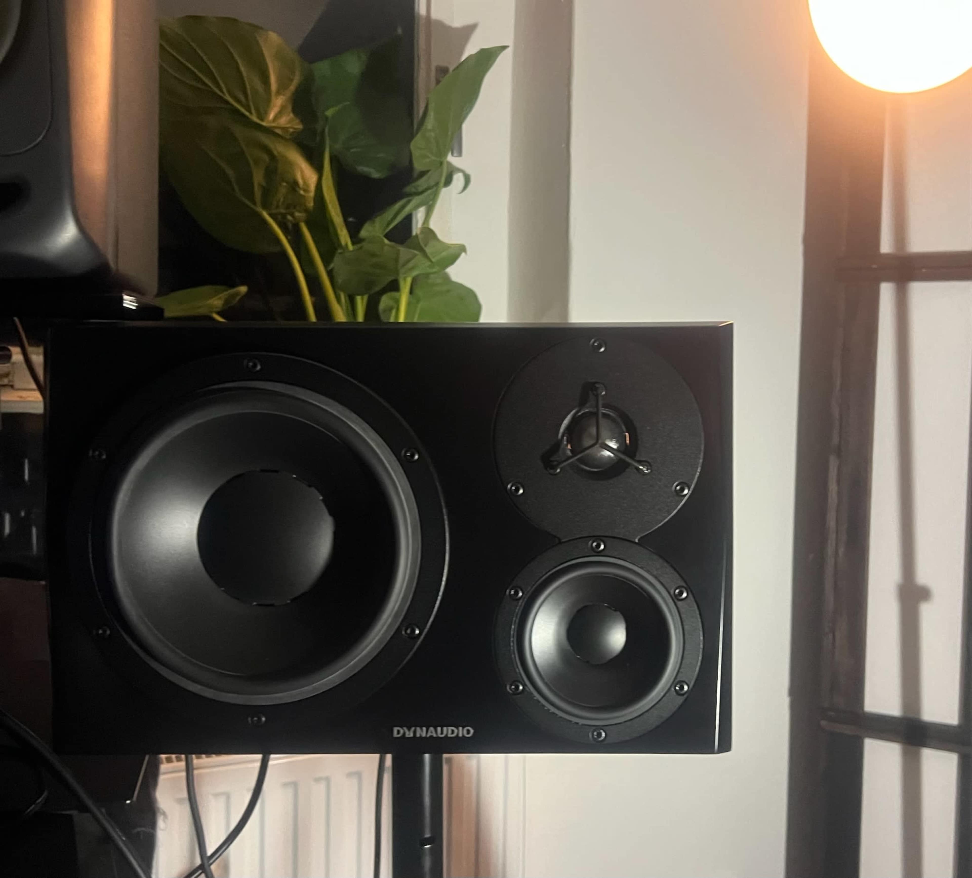 The image shows a black Dynaudio speaker mounted on a wall, with a green plant visible in the background and a light fixture illuminating the scene.