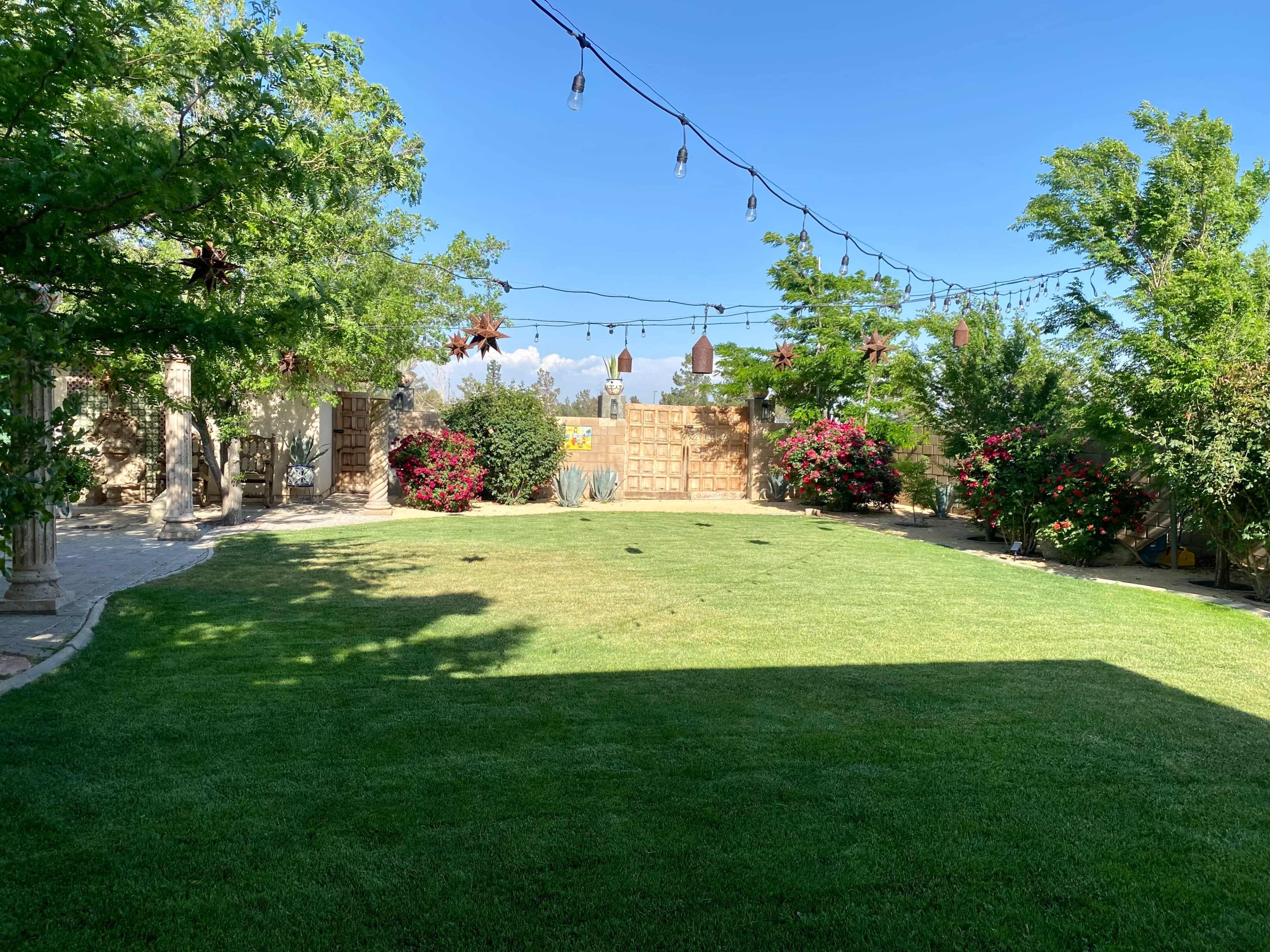 A landscaped garden with green grass, surrounded by trees and flowering shrubs, and string lights hanging above.