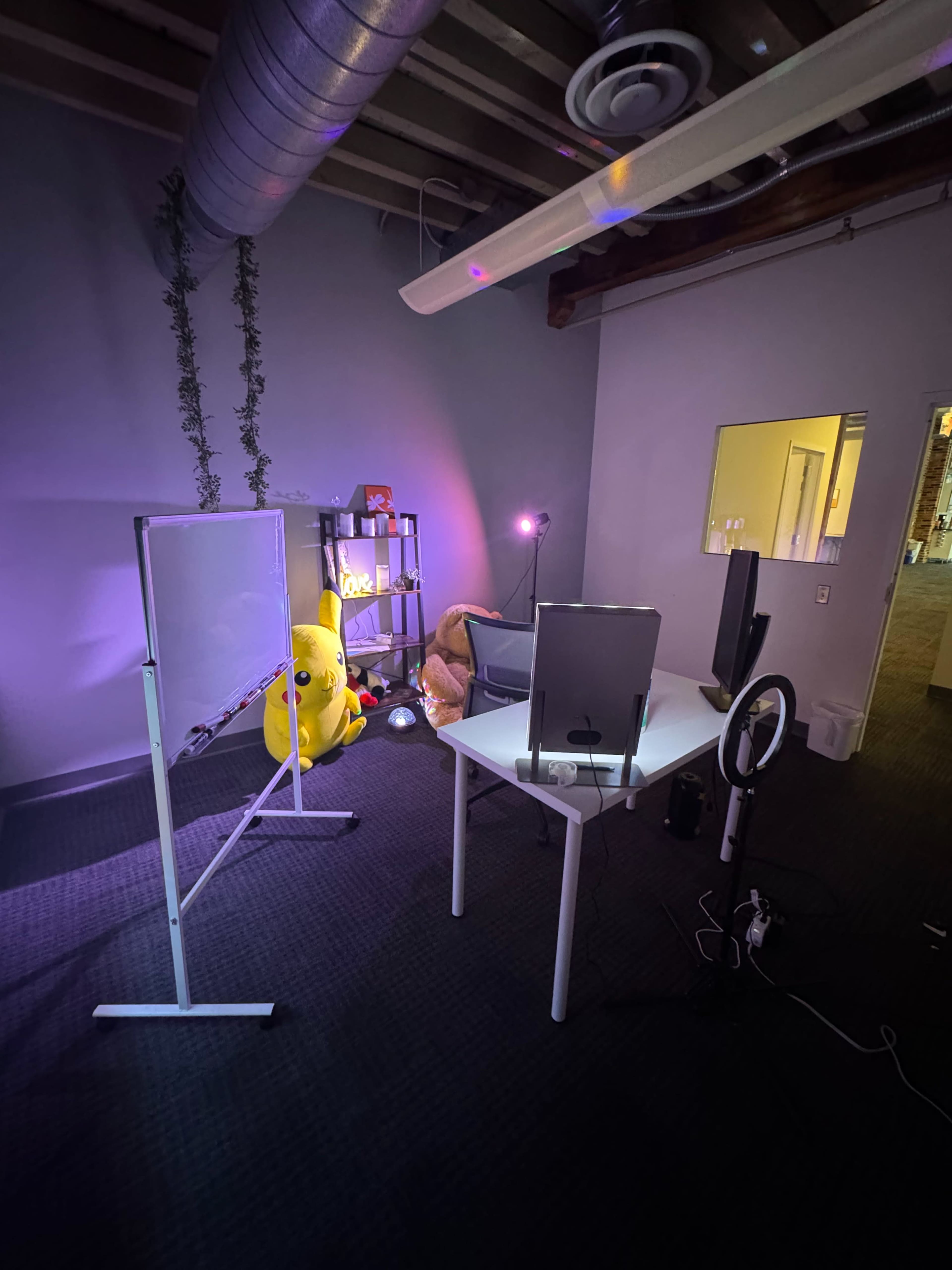 Aesthetic Livestream & Content Creation Studio with Natural Light Image in Fells Point, Baltimore, MD