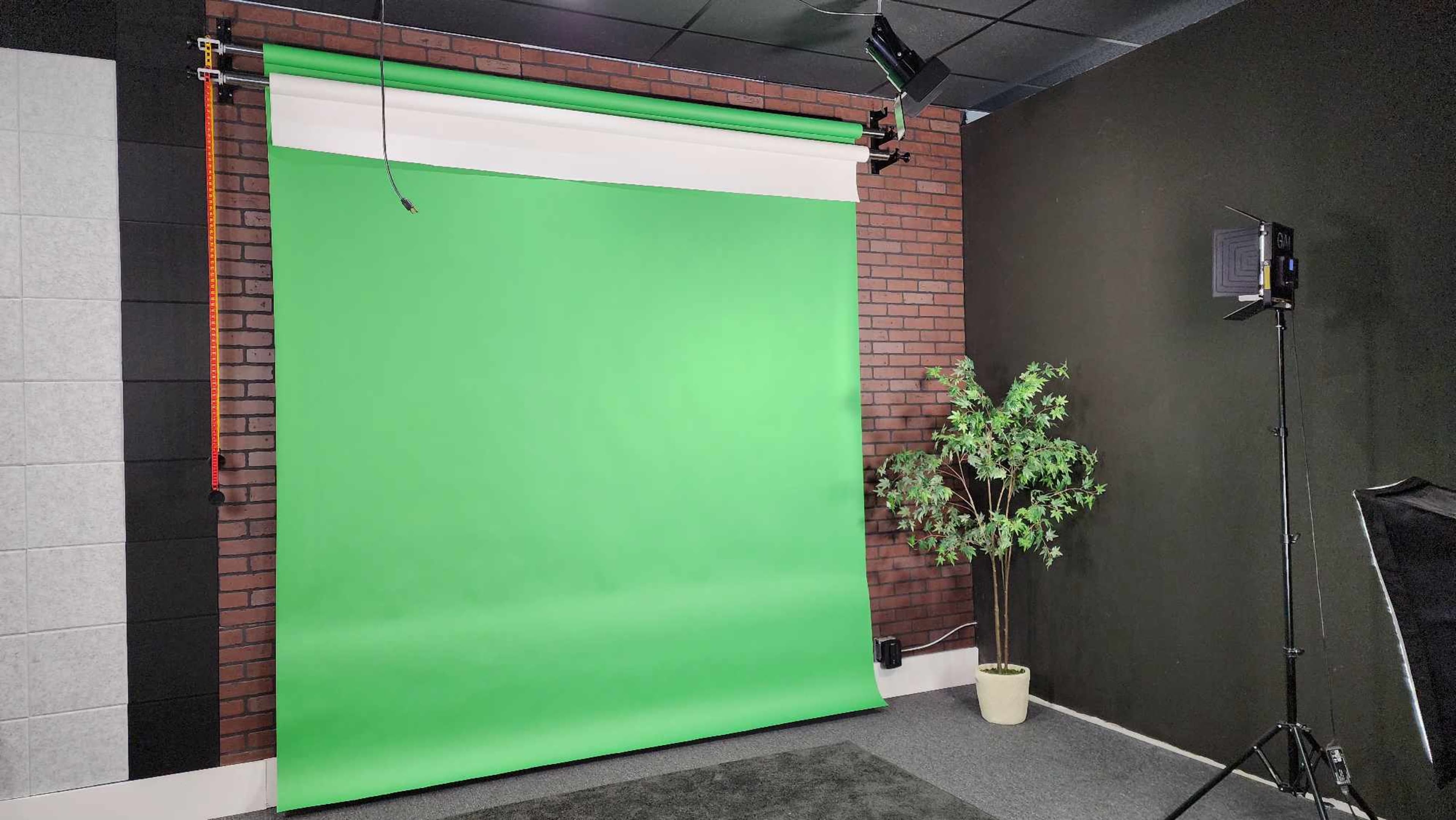 A green screen setup with a potted plant and lighting equipment in a studio space.