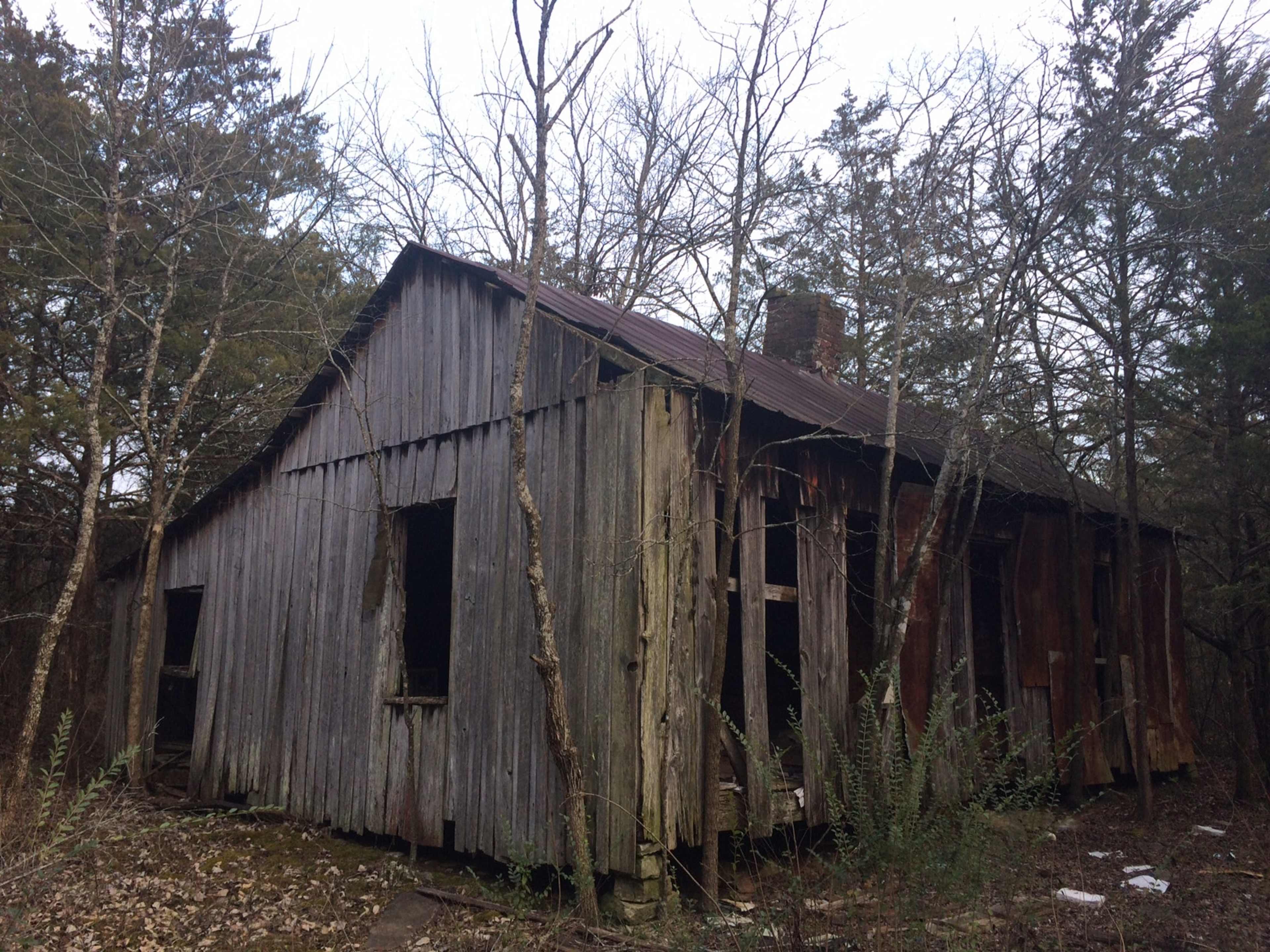 An old, weathered wooden house stands amid overgrown trees and brush in a rural setting.