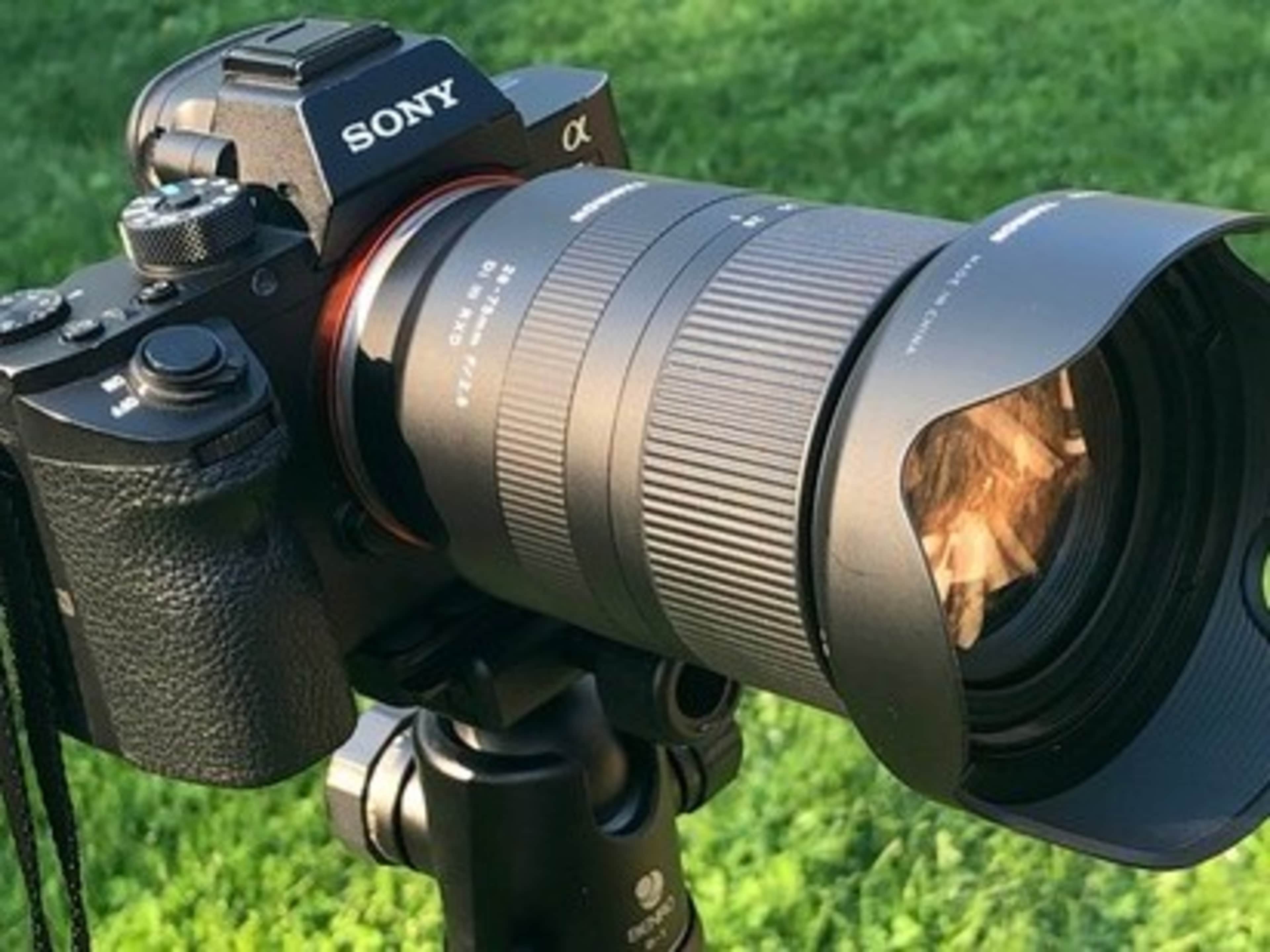 Sony a7 IV Camera + Lens Rental