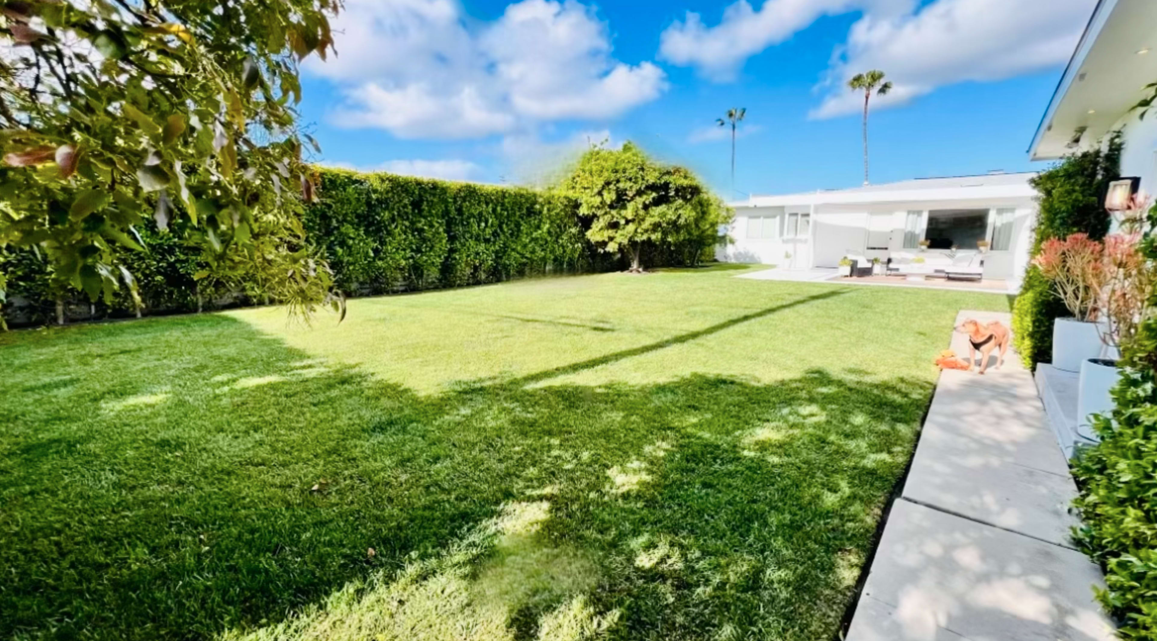 A well-maintained grassy backyard features a manicured hedge and a modern home in the background with a patio area.