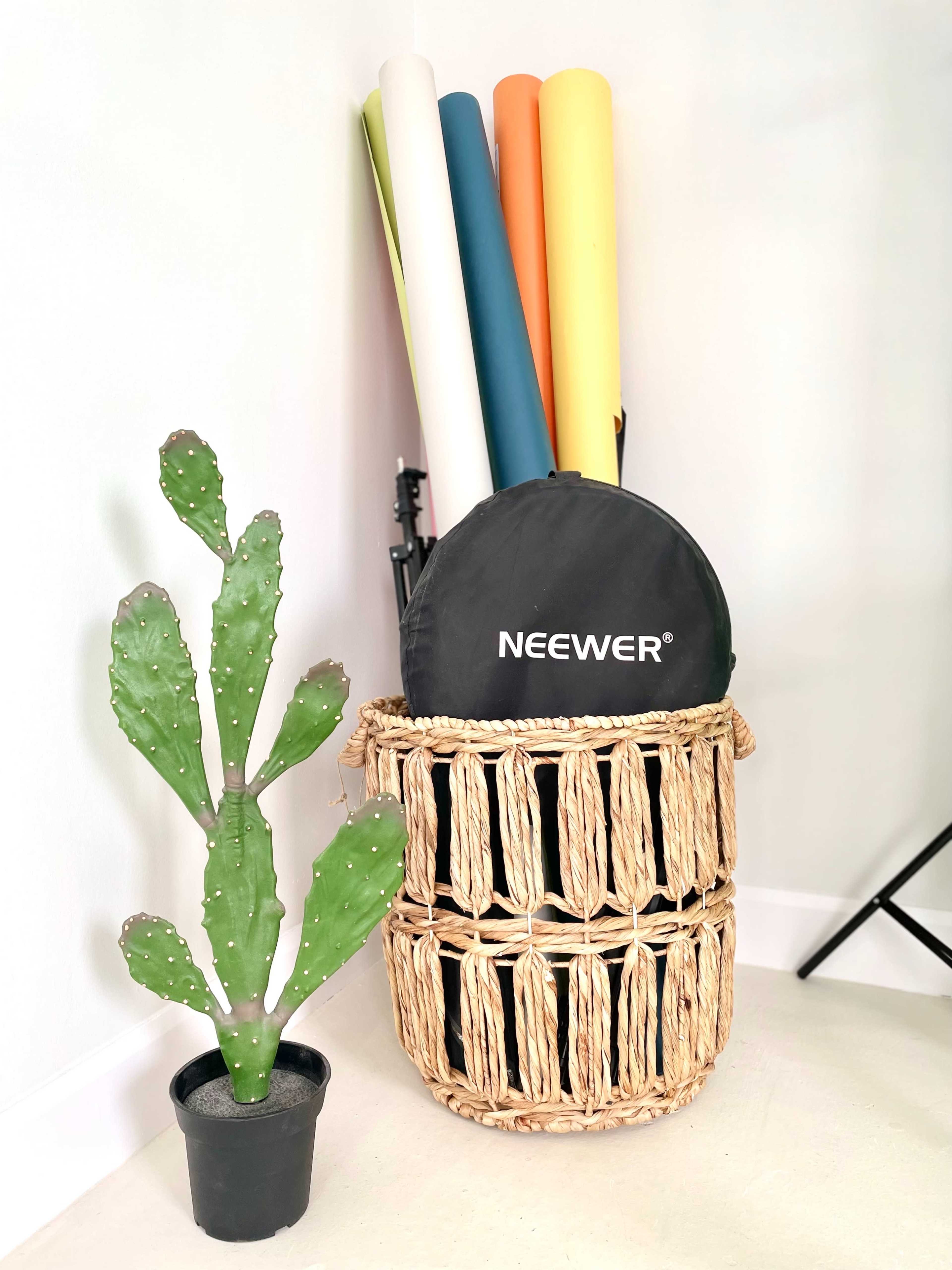 A woven basket holds colorful backdrop rolls and is placed next to a potted cactus.