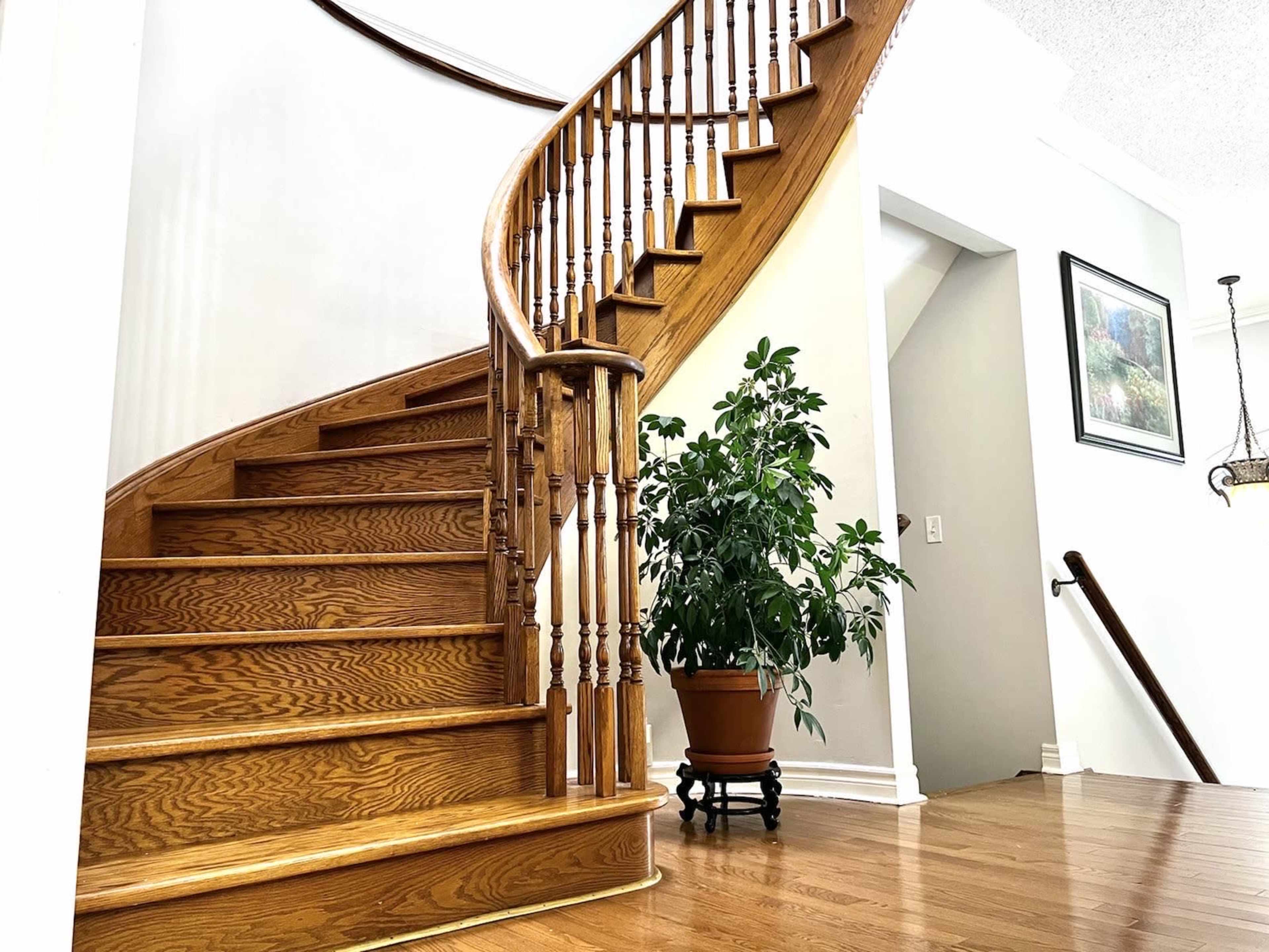 A wooden spiral staircase descending into a hallway, with a potted plant beside it.