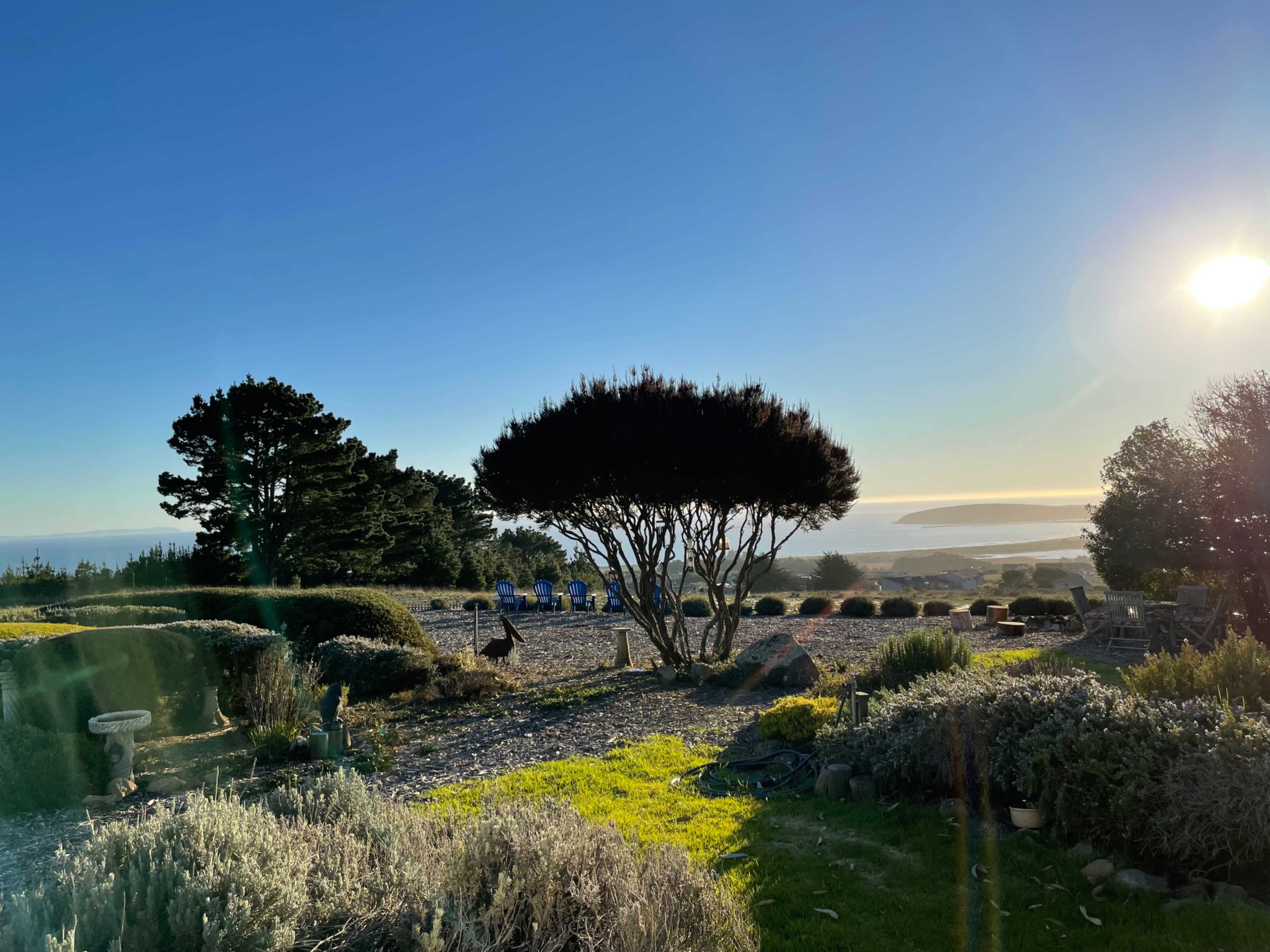 A landscape with a gravel path, a large tree, and seating in the background overlooking a coastal view under a clear sky.
