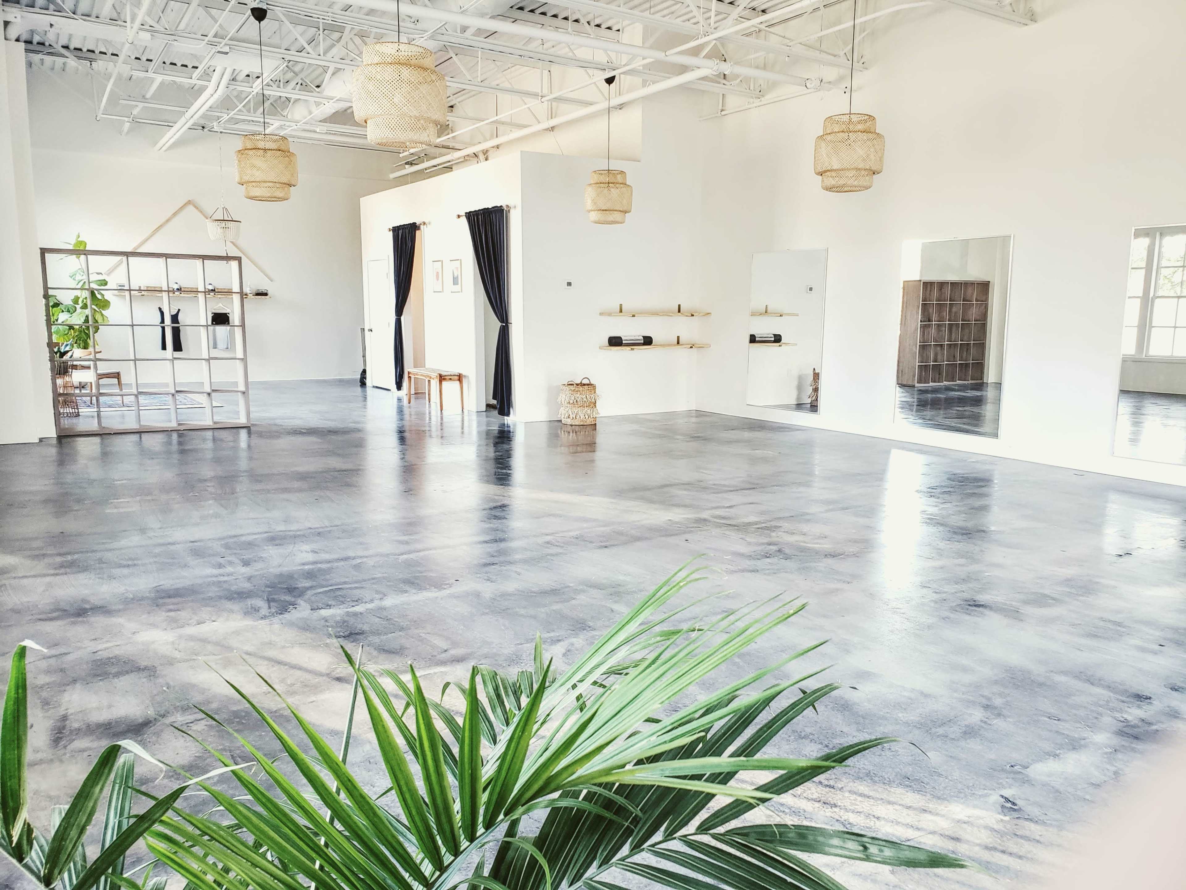 The image shows a spacious, empty room with polished concrete floors, large windows, minimal furniture, and decorative plants.