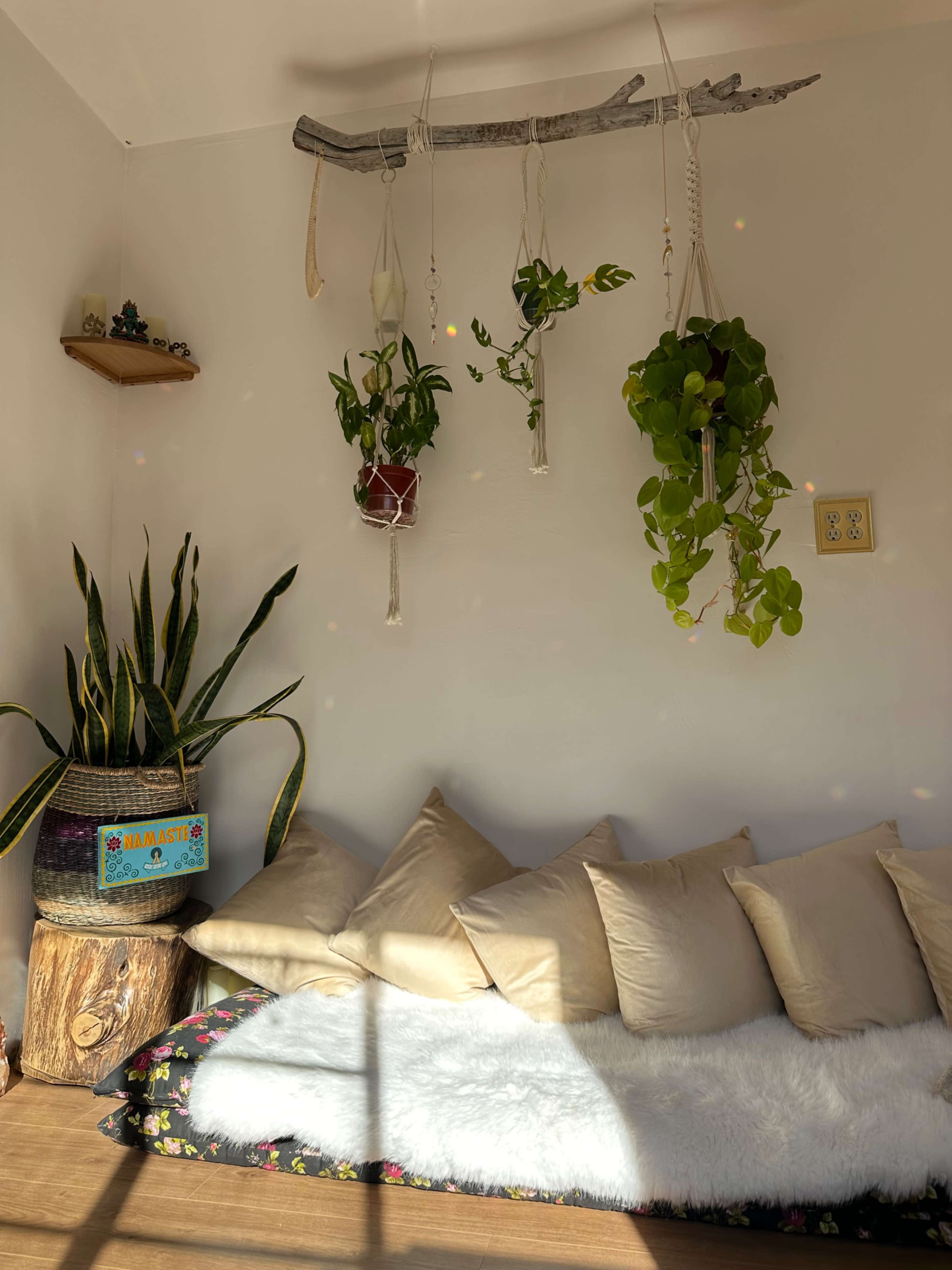 Beautiful, light filled, unique and intimate studio space Image in Walnut Creek, Walnut Creek, CA