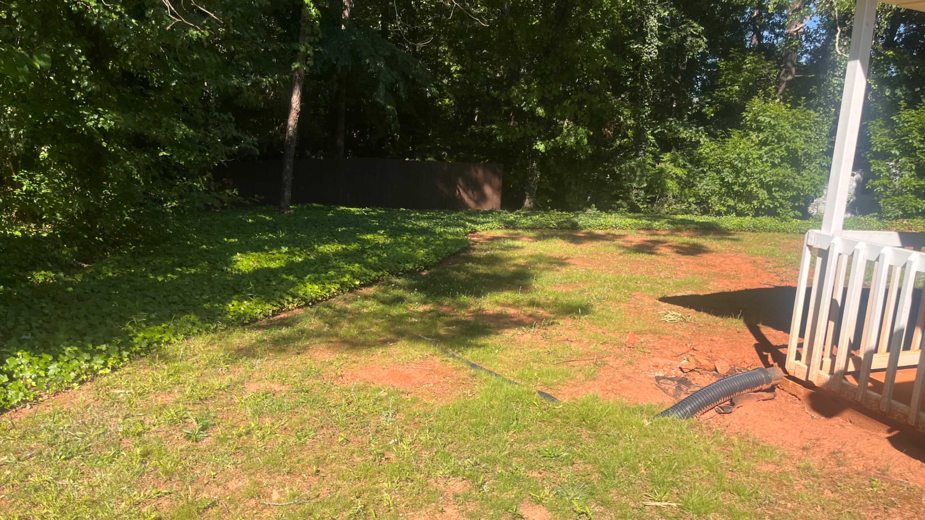 The image shows a grassy backyard area with a patch of dirt, surrounded by trees and a fence in the background.