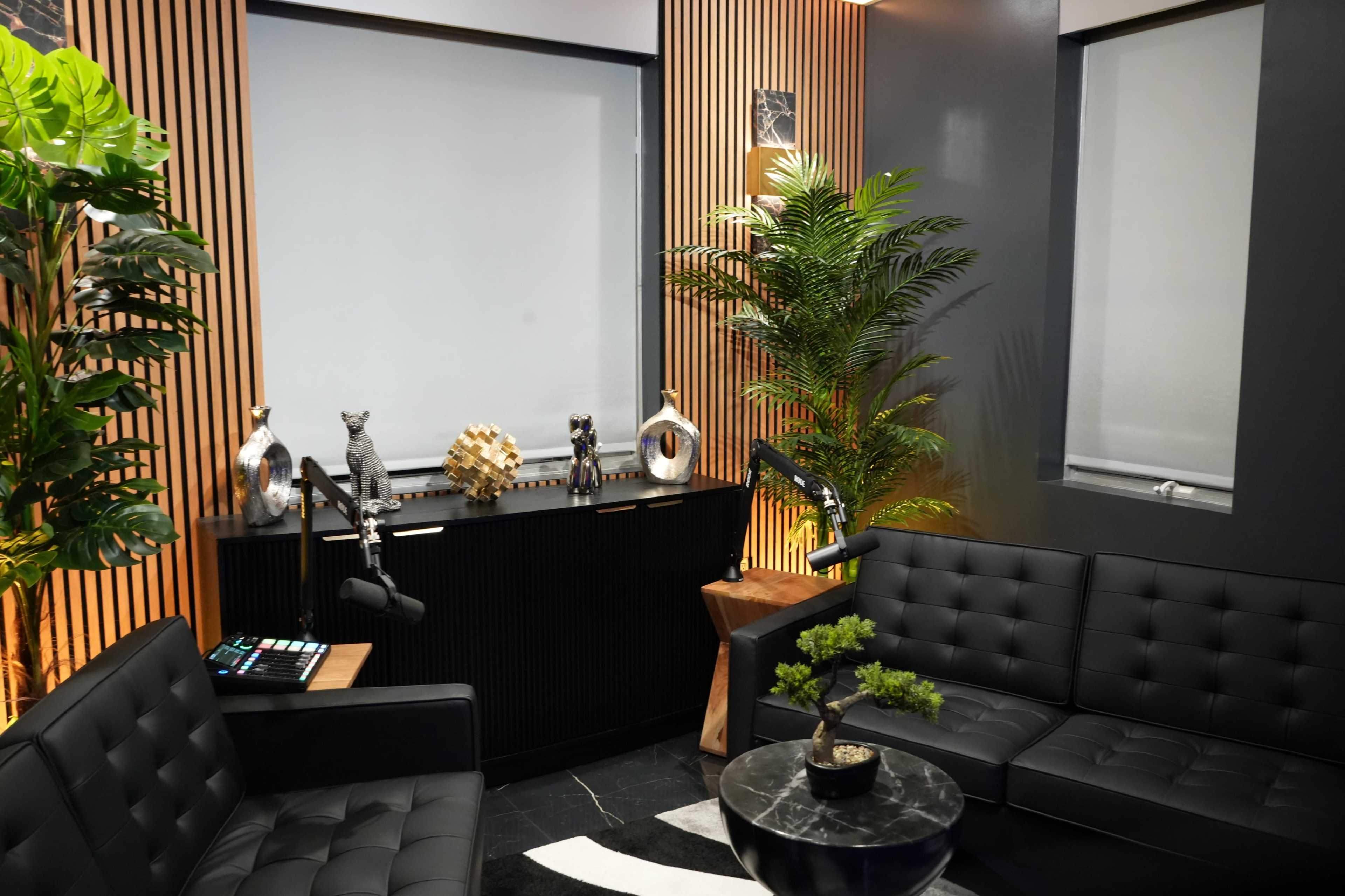 Luxe Lounge Video Podcast Studio Image in Potomac Falls, Sterling, VA