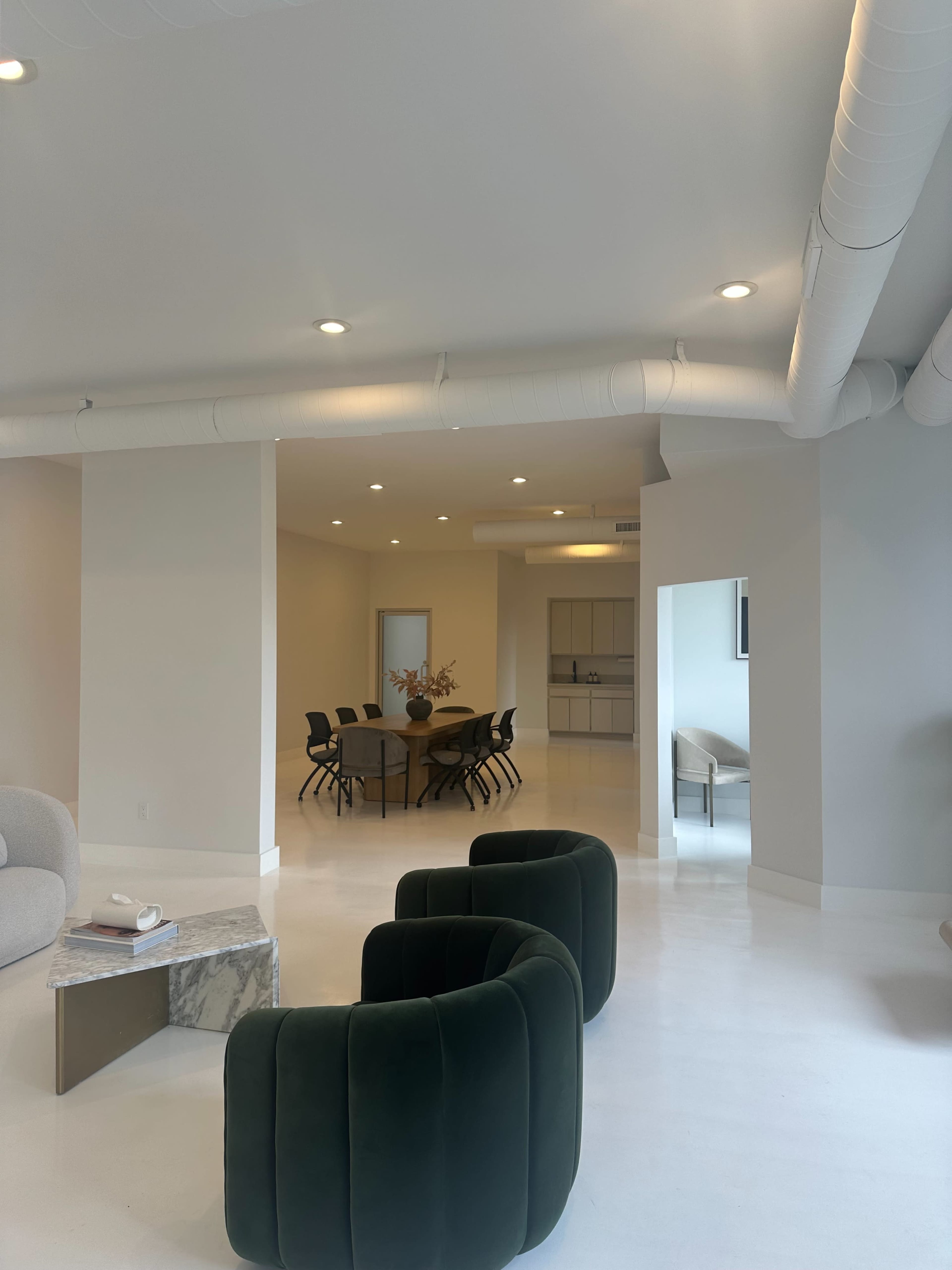 The image shows a modern open-concept living space featuring a dining area with black chairs, a minimalist kitchen, and green upholstered chairs.