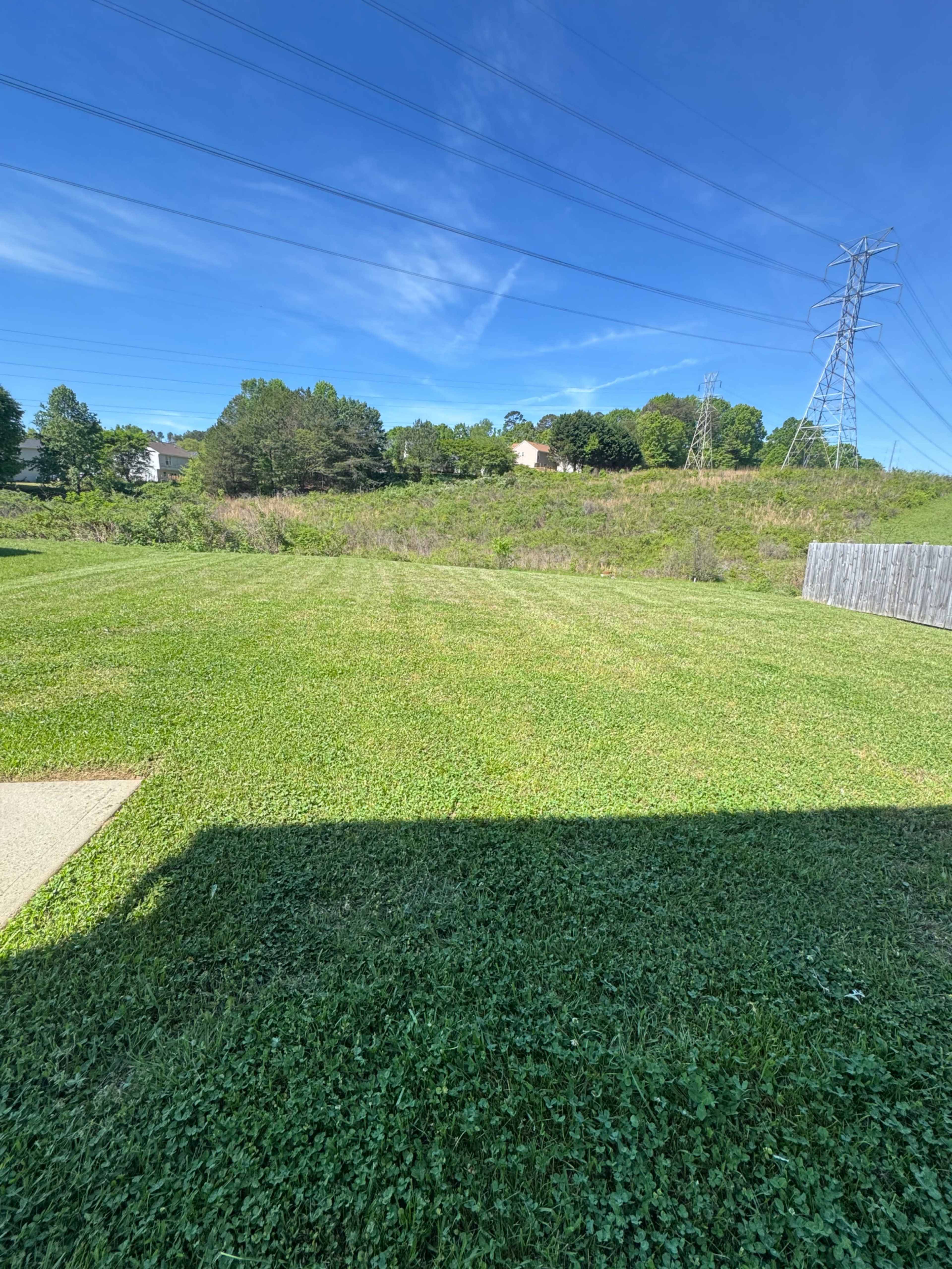 The image shows a sunny, grassy field bordered by a fence and power lines in the background.