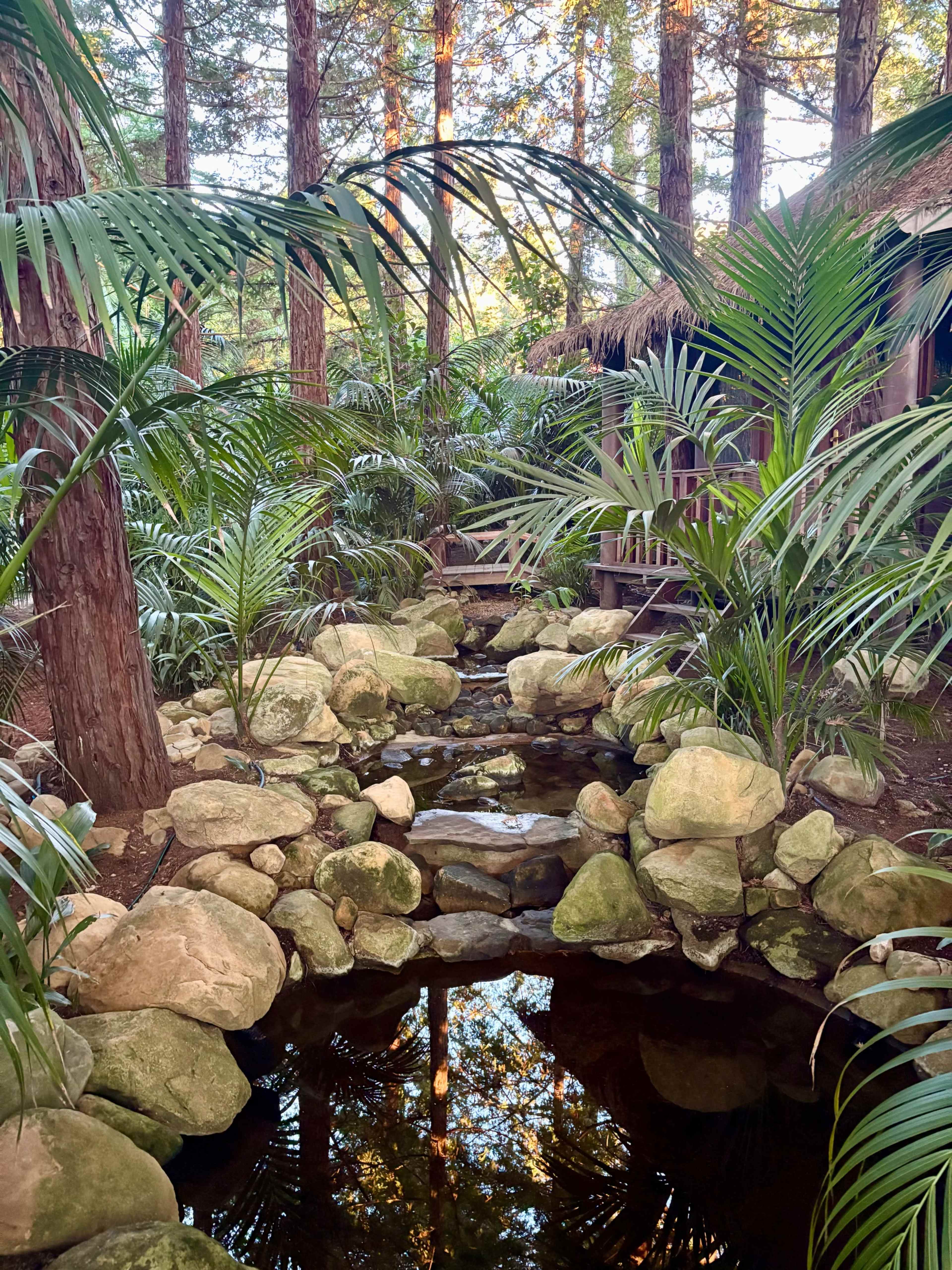 Lush Bali-Inspired Garden in a Redwood Grove Image in Montecito, Santa Barbara, CA