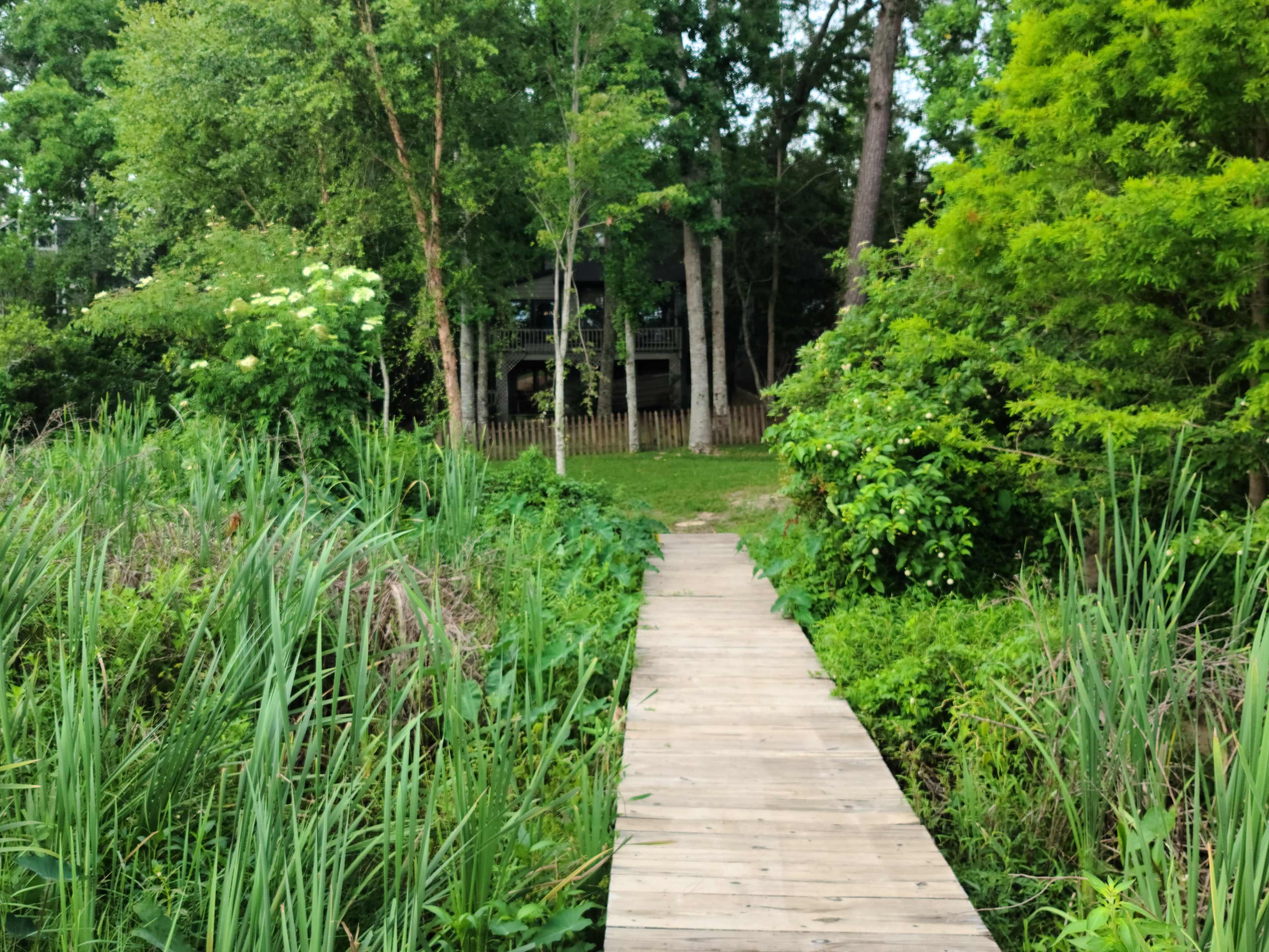A wooden walkway leads through tall grass and greenery towards a house partially hidden by trees.