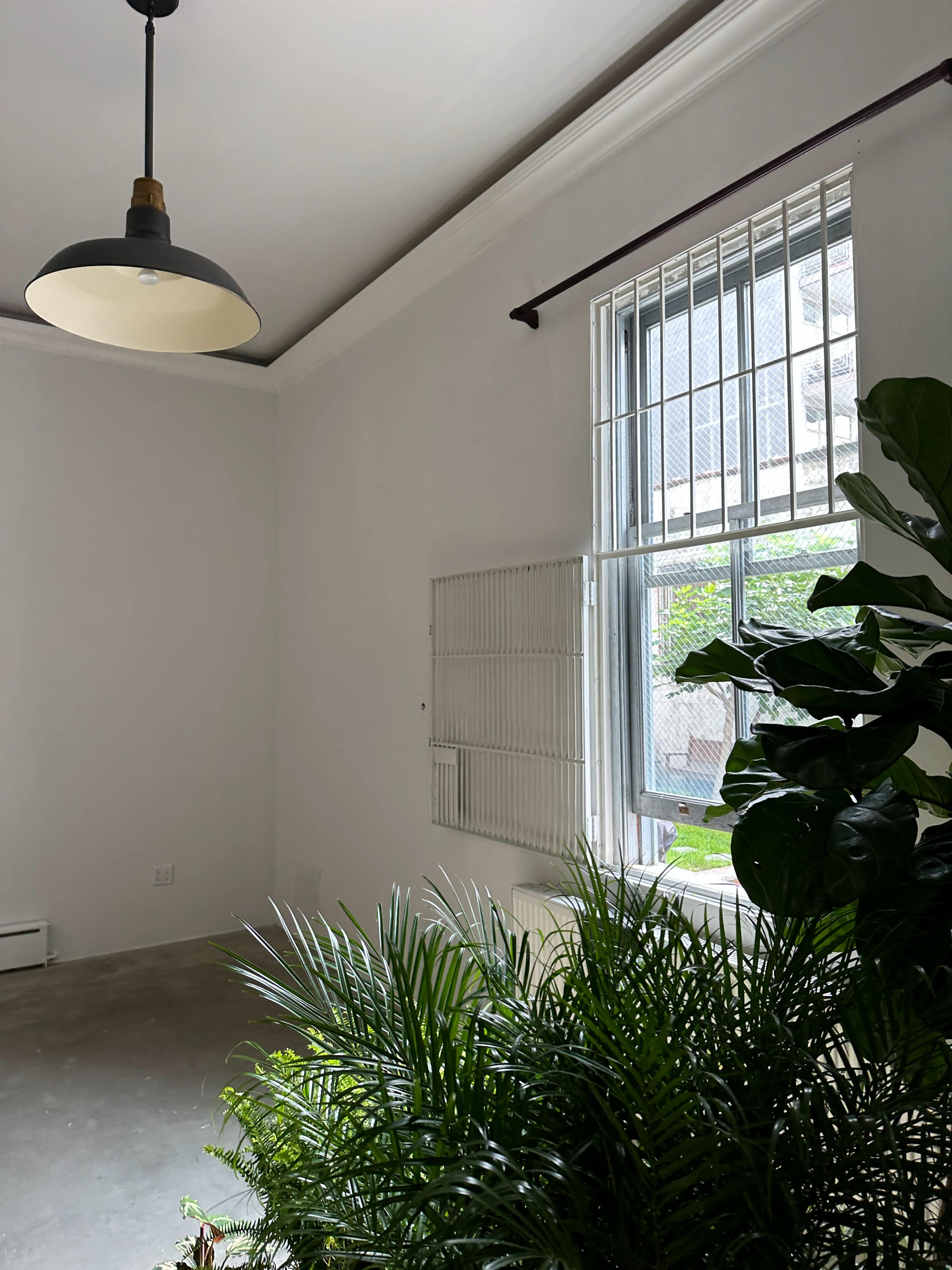 A bright room with a large window, a hanging light fixture, and a variety of indoor plants.