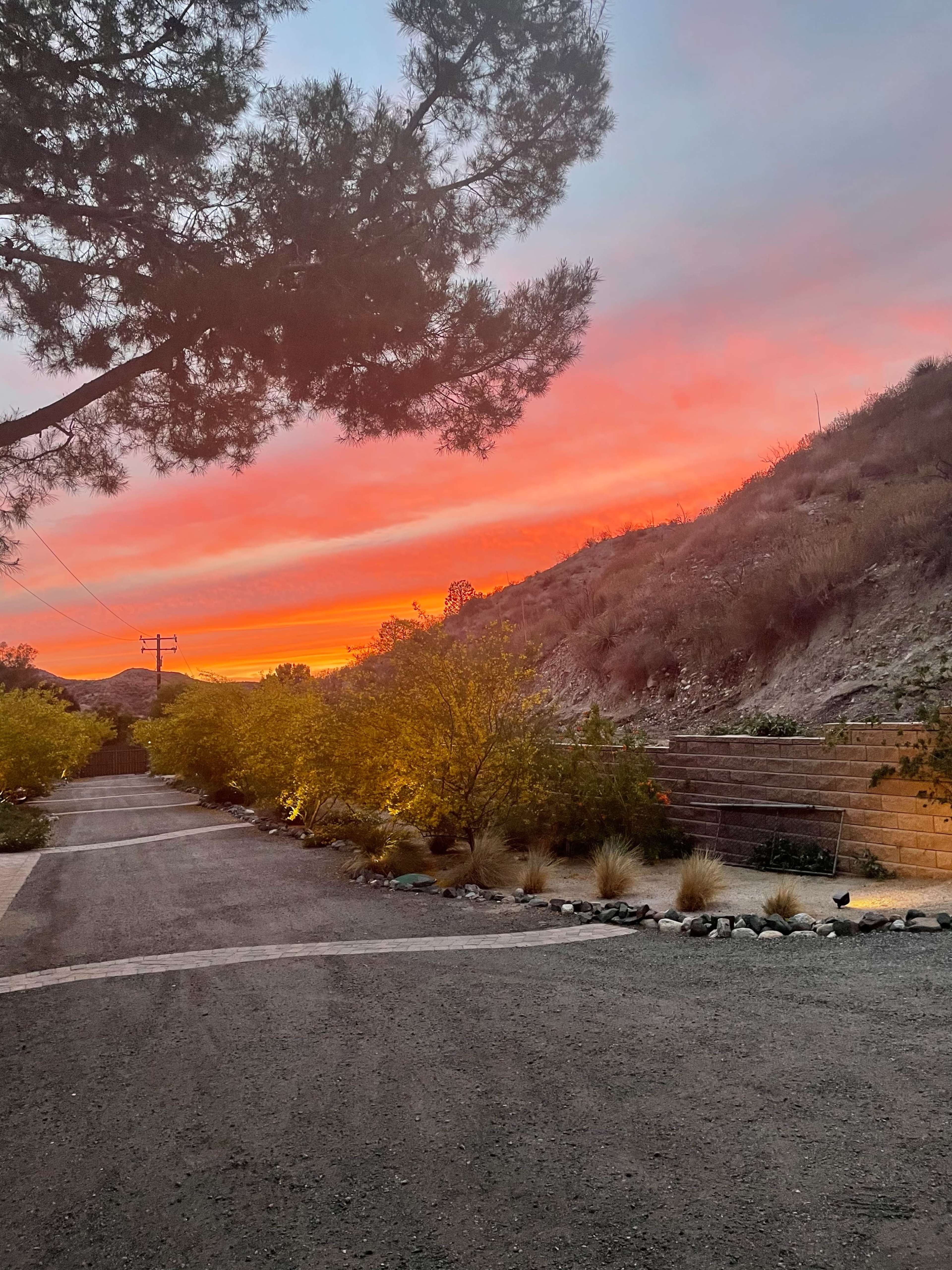 A gravel driveway lined with low plants leads towards a colorful sunset over a hillside.