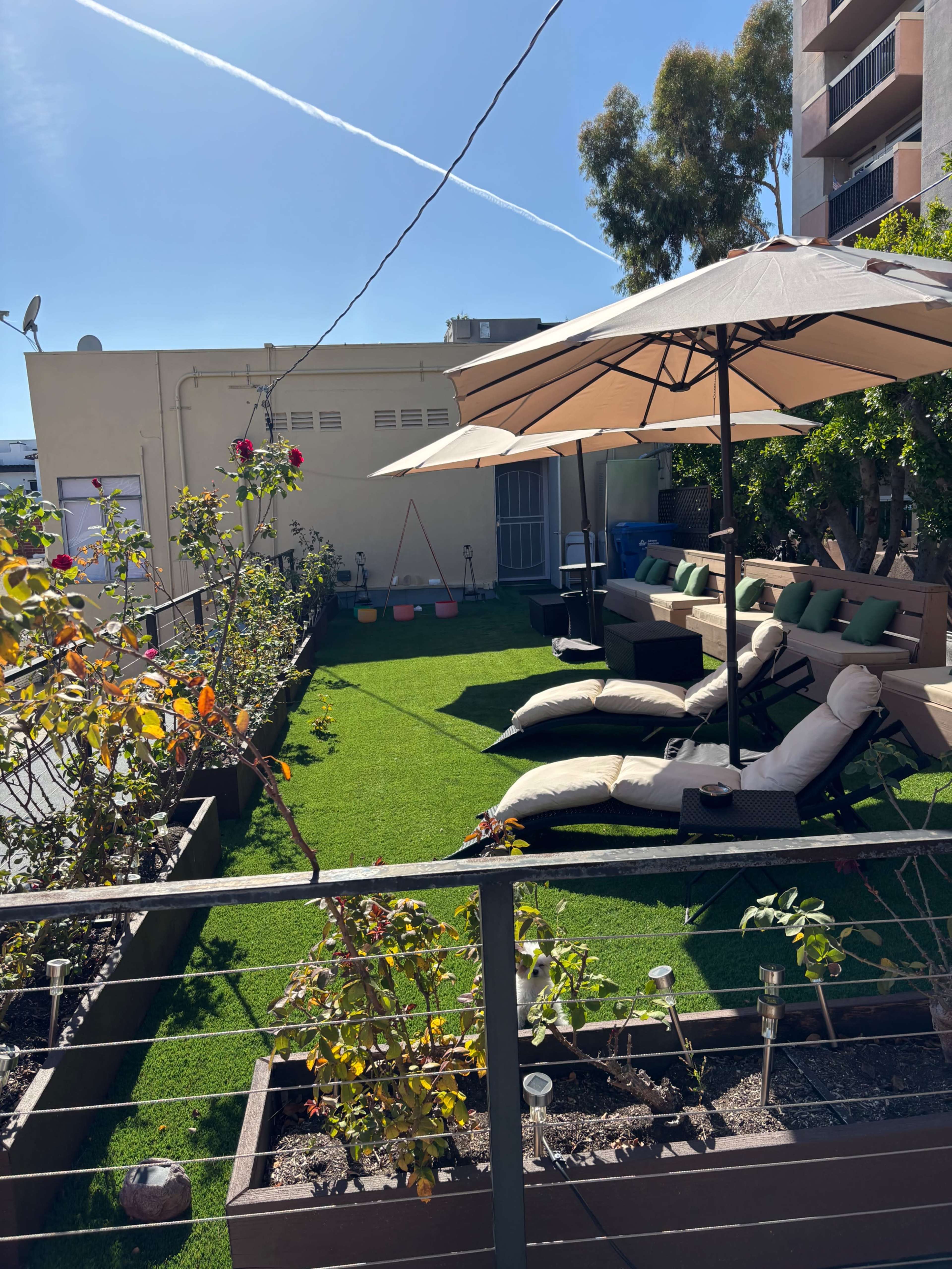 The image shows a well-maintained small garden area with artificial grass, lounge seating, an umbrella, and a wall lined with plants.