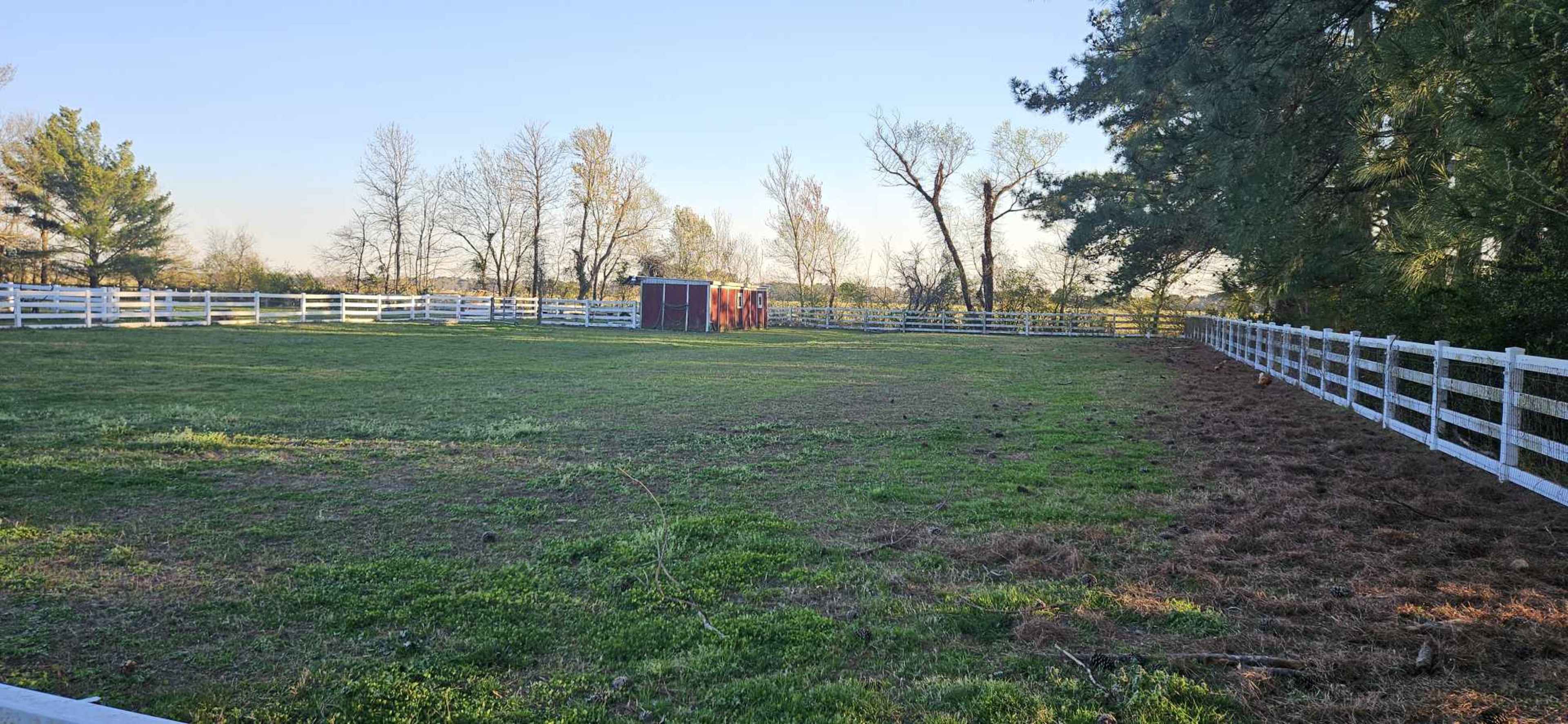 A fenced grassy area with a small shed and sparse trees in the background.
