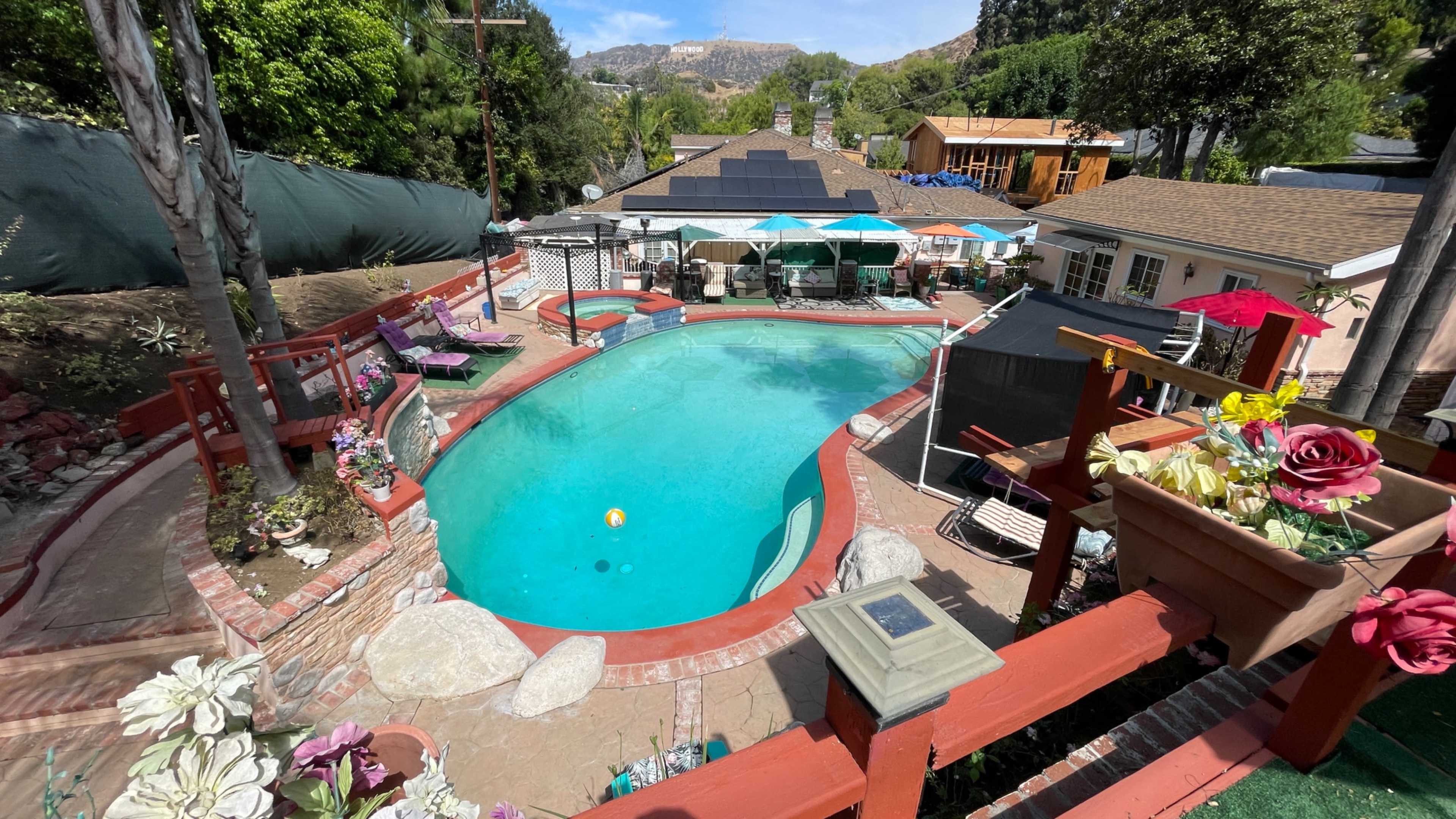 The image shows a swimming pool surrounded by decorative plants and lounge chairs, with a house and several outdoor structures in the background.