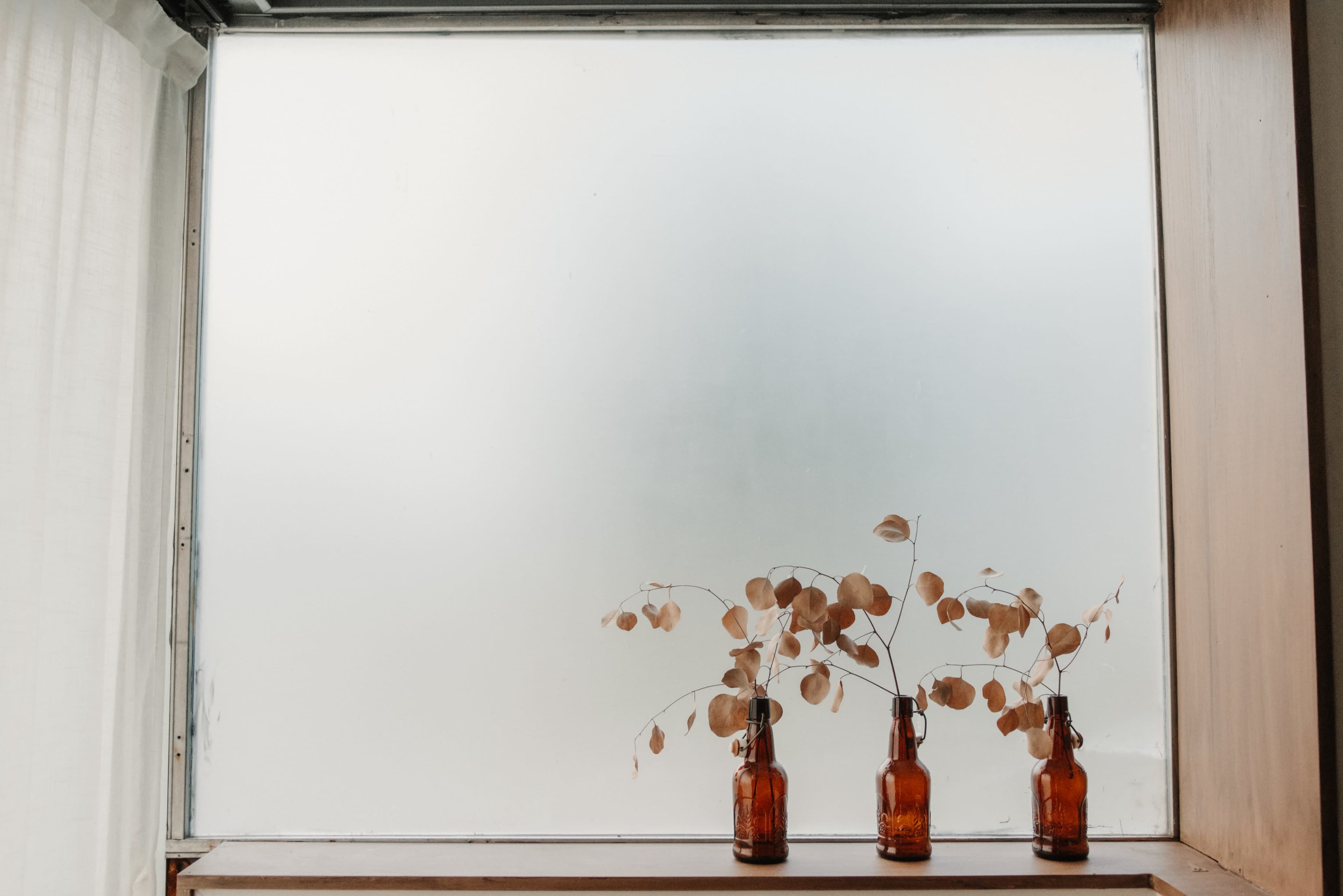 Three amber bottles with dried leaves are placed on a wooden ledge in front of a large, frosted window.