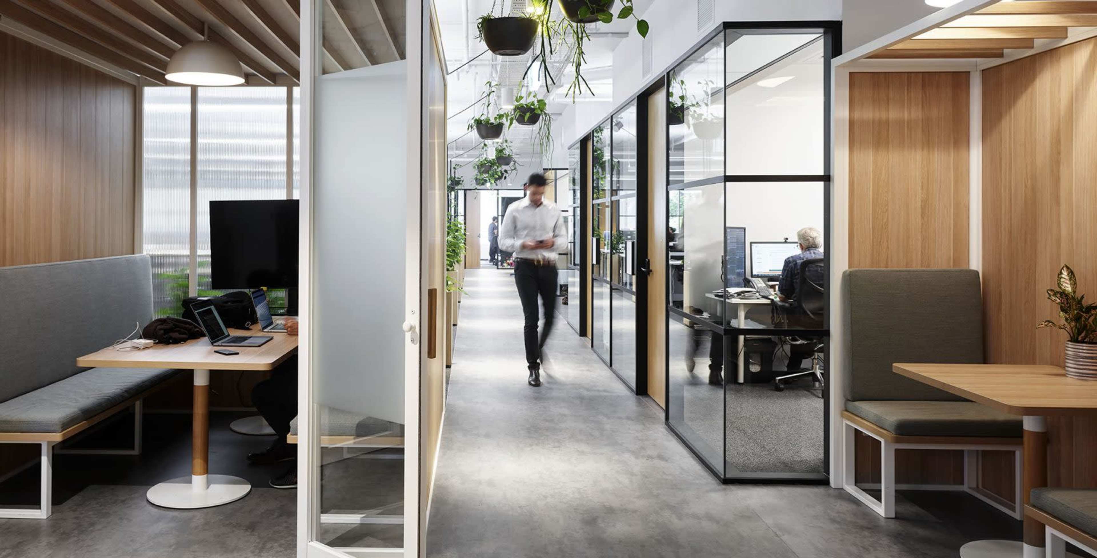 A modern office interior features glass-walled meeting rooms and open workspaces with greenery hanging from the ceiling.