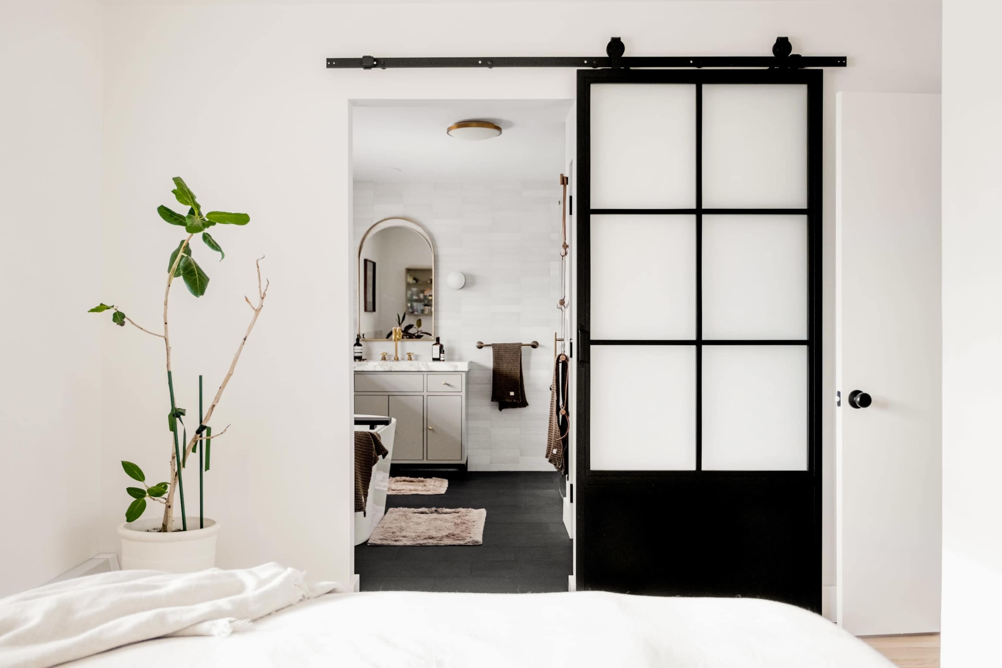 A modern interior with a sliding black door leading to a bathroom area and a small plant in a pot near the foreground.