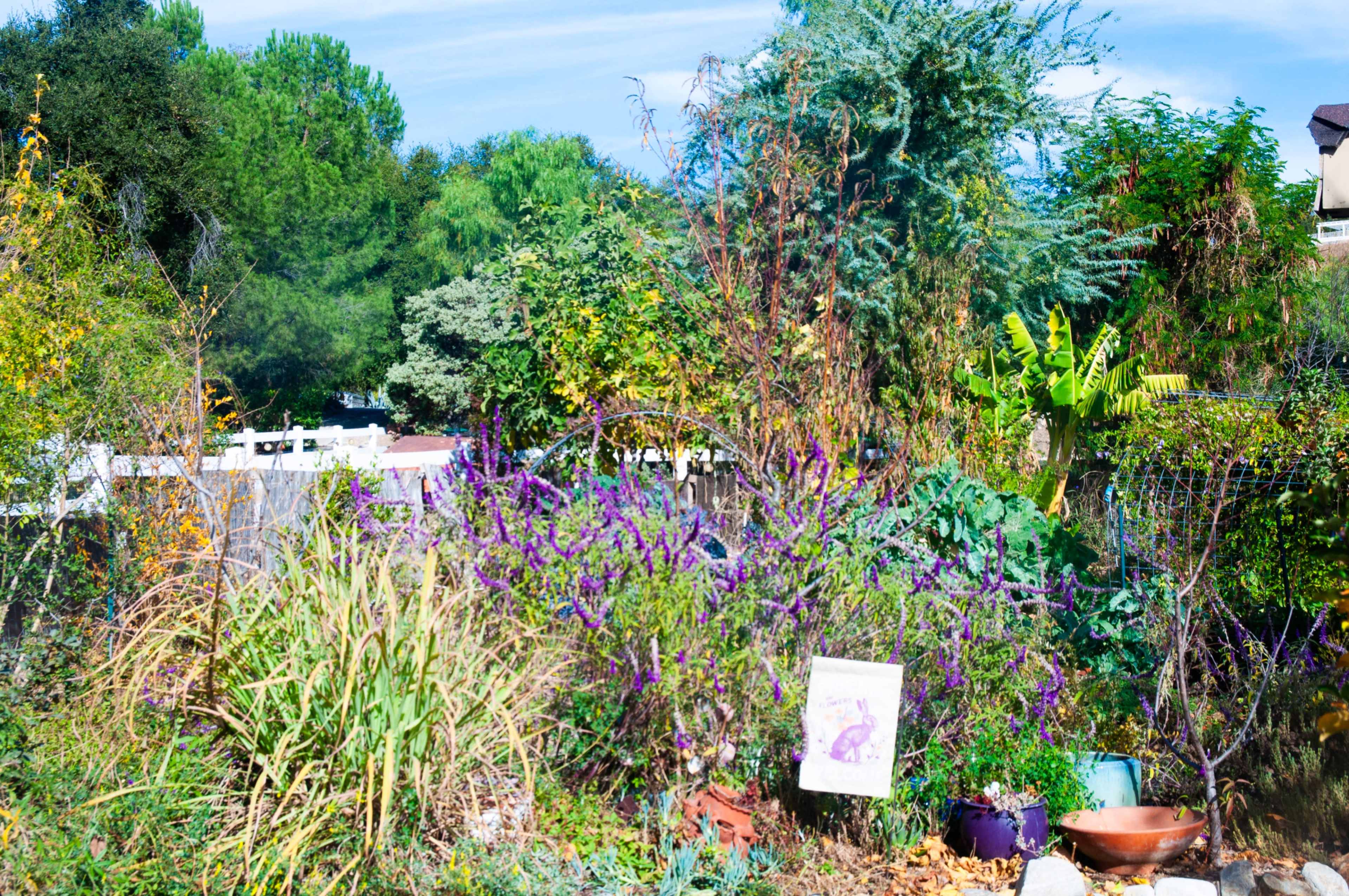 Serene Oak Grove Ranch & Garden Sanctuary | Santa Clarita Image in Hasley Canyon, Castaic, CA