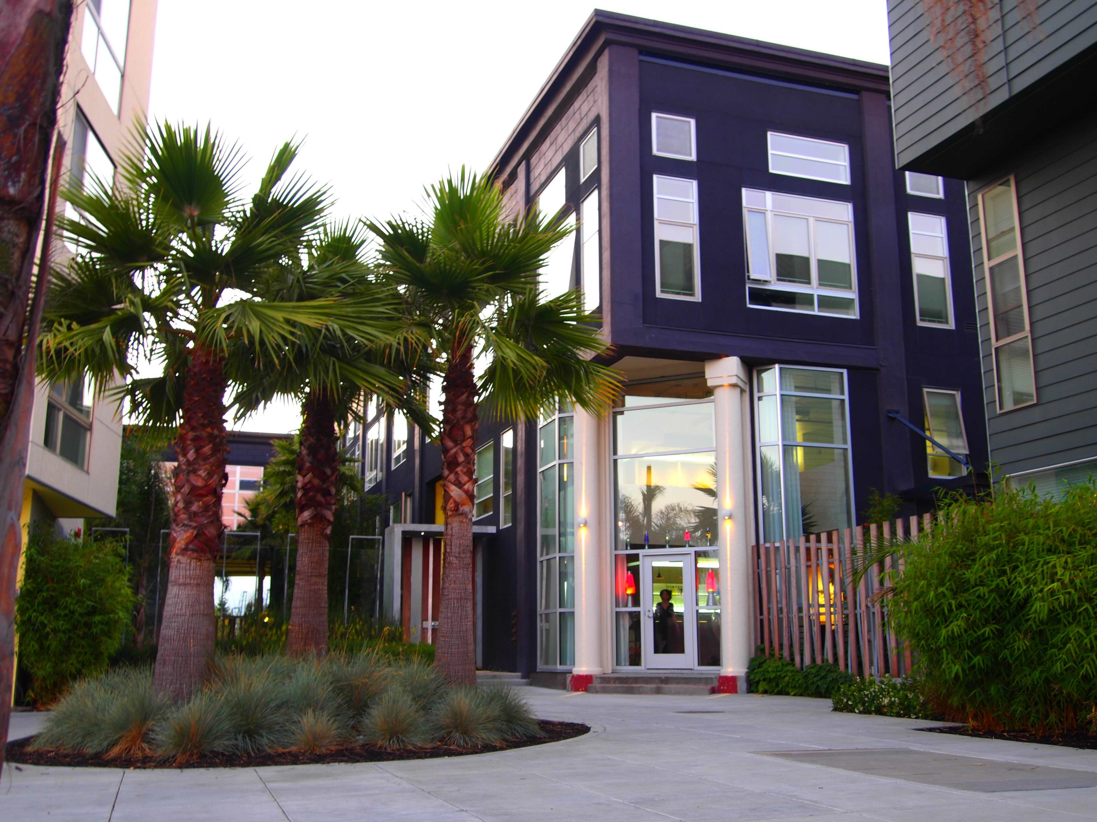 A modern building with large windows and palm trees is situated in a landscaped area.