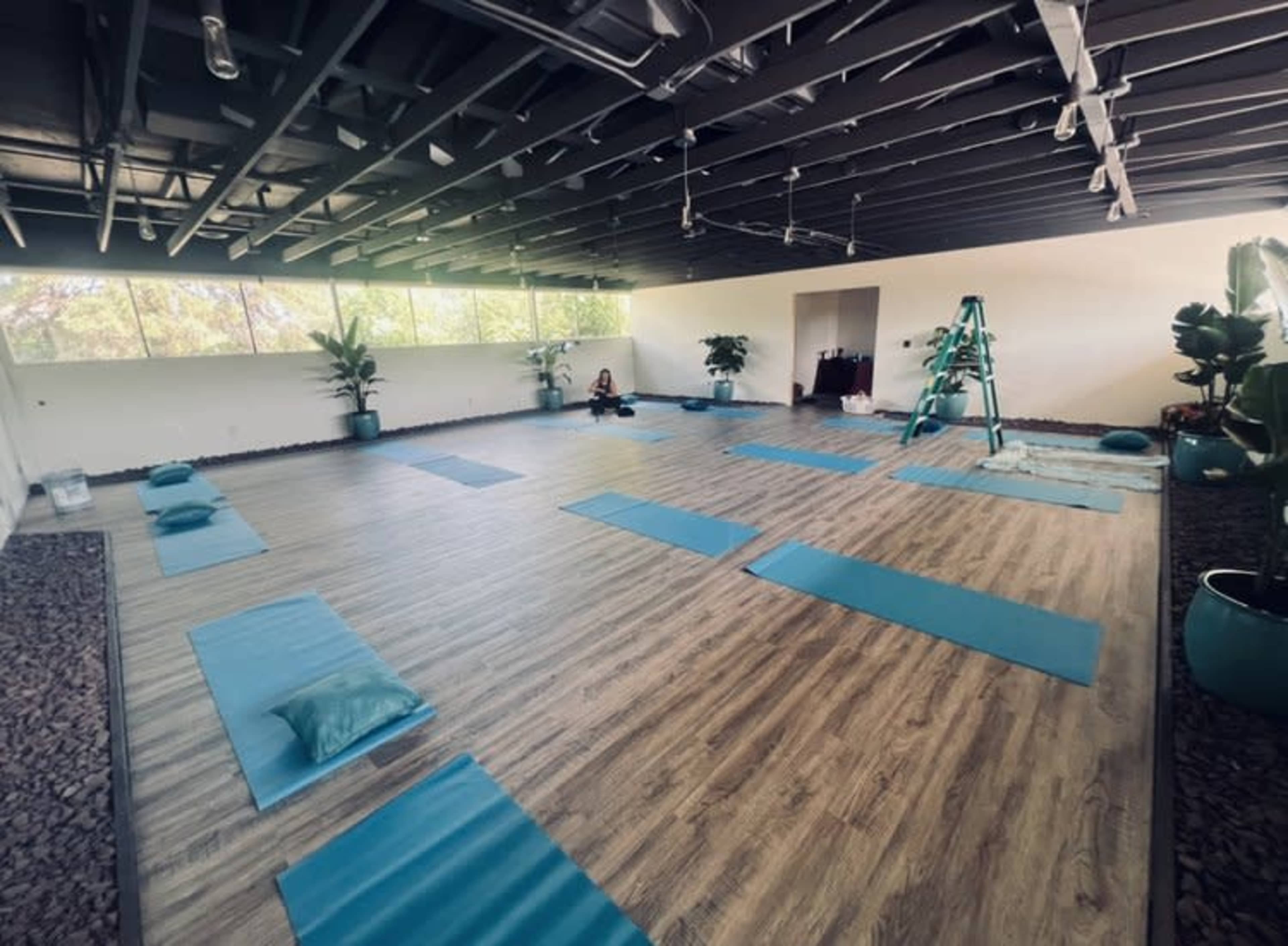 A spacious yoga studio features blue mats arranged on a wooden floor, with potted plants in the corners and a ladder positioned in the background.