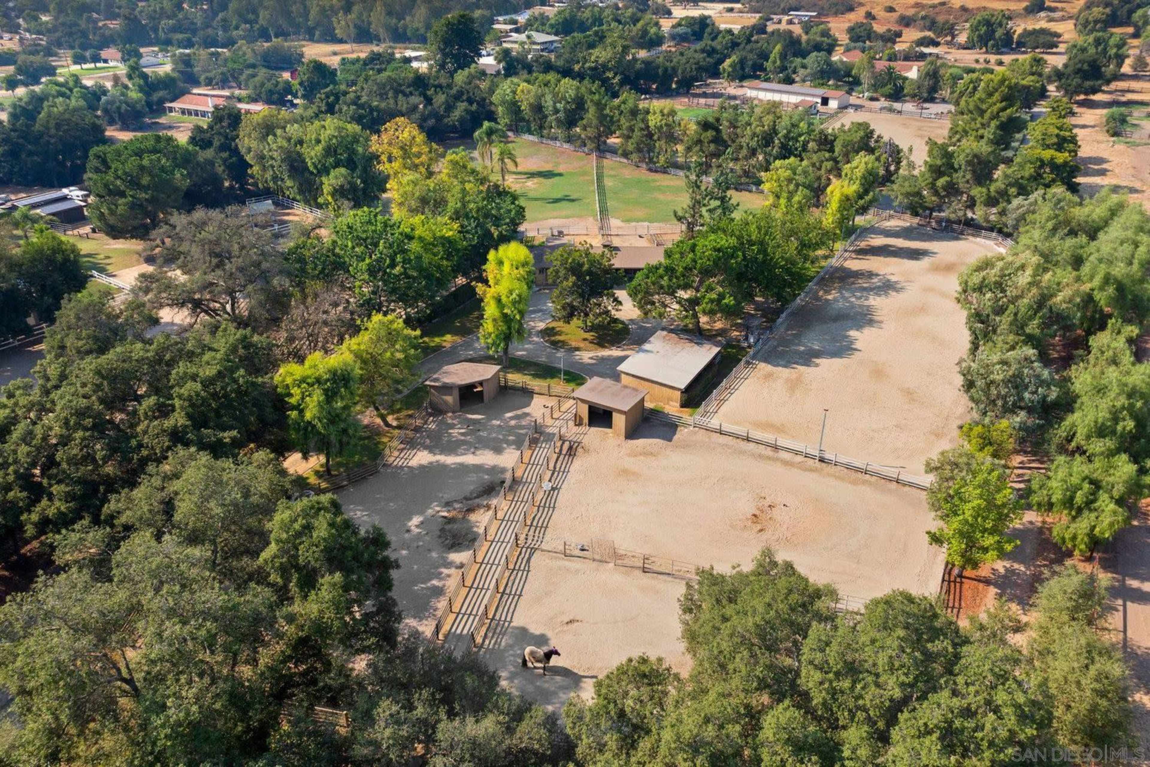 Stunning Horse Farm with Ancient Oak Trees Image in Valley Center, Valley Center, CA