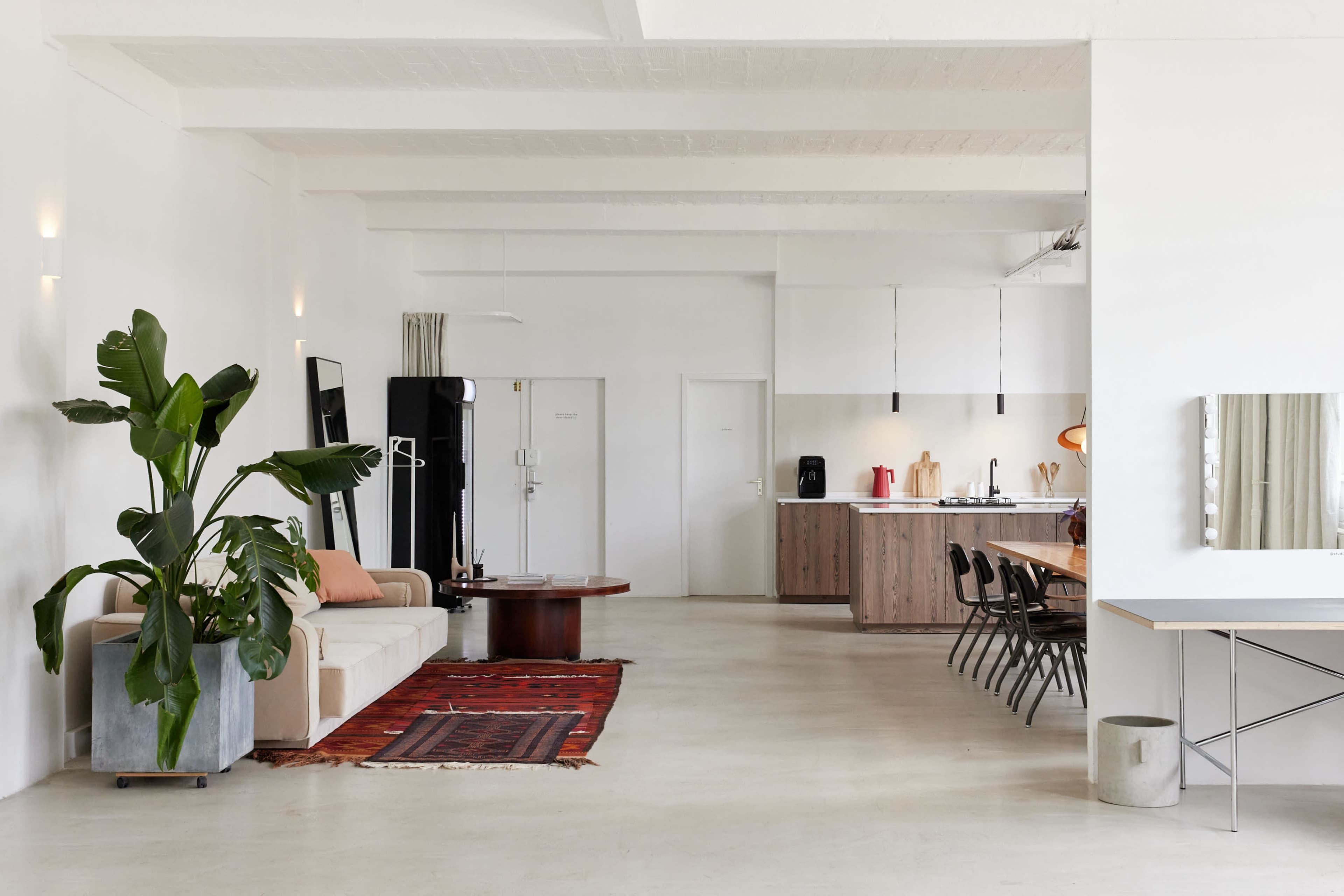 The image shows a spacious, minimalist interior with a sofa, large potted plant, dining table, and a kitchen area in a bright room with white walls.