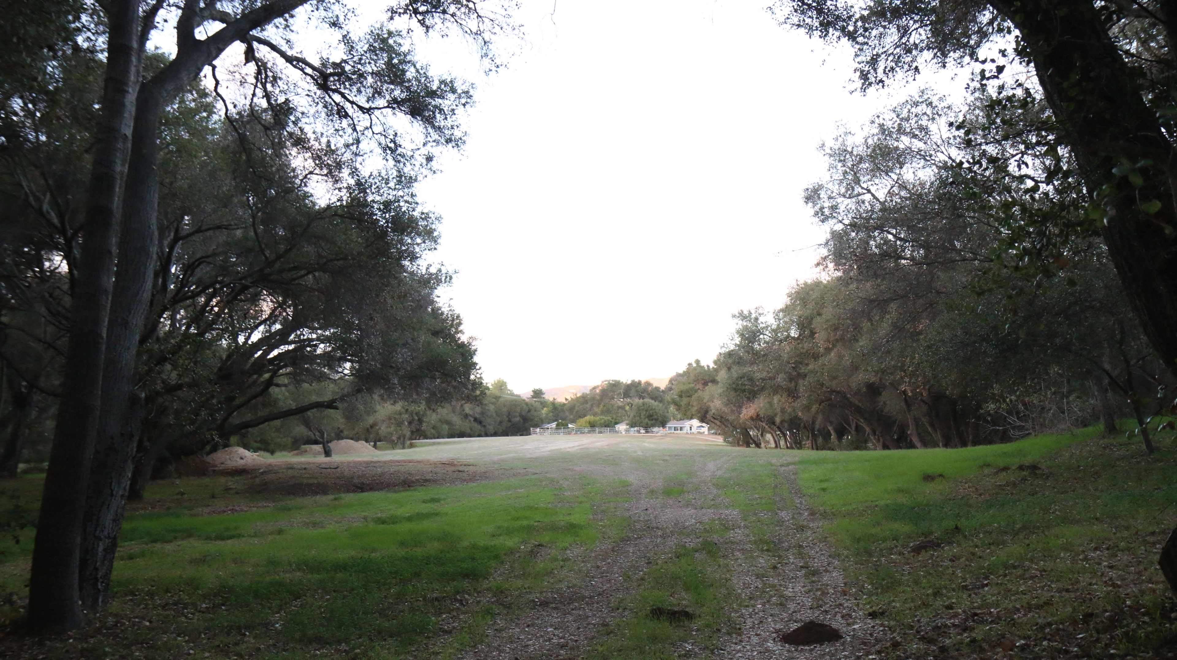A dirt path leads through a wooded area towards a distant house on a grassy field.