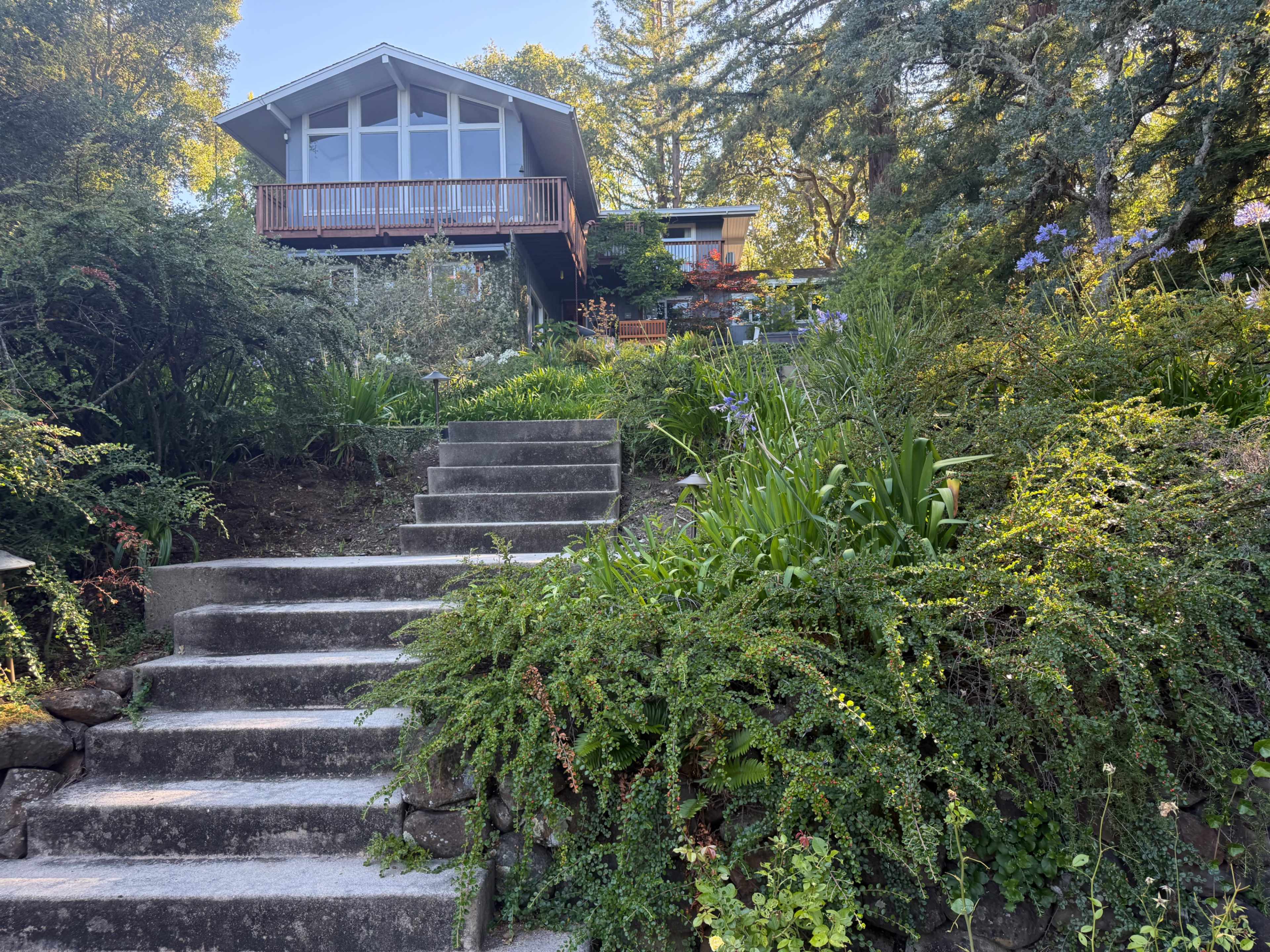 A path of stone steps leads up to a house surrounded by lush greenery and flowering plants.