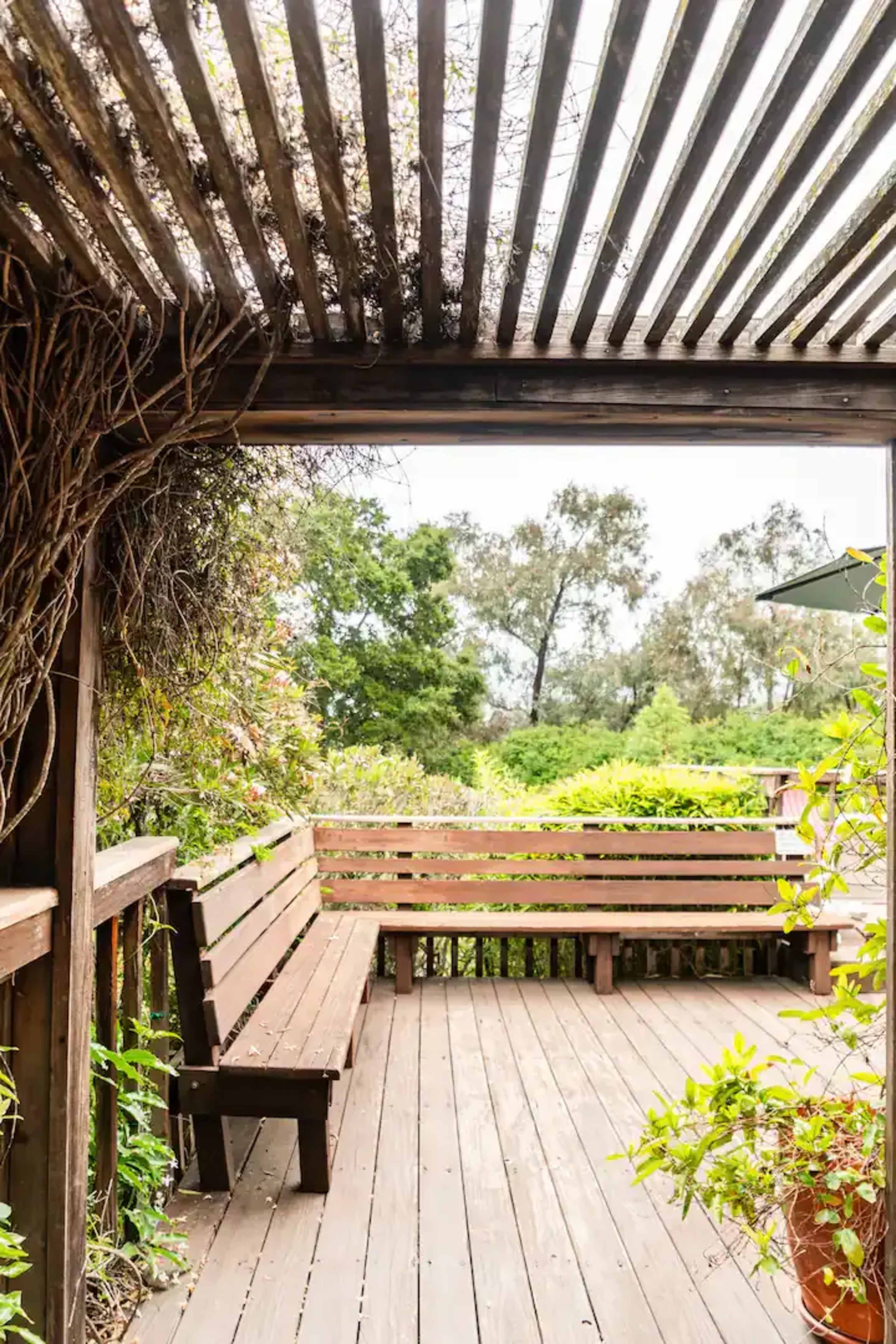 A wooden deck with a bench is framed by a slatted overhead structure and surrounded by green foliage and trees.