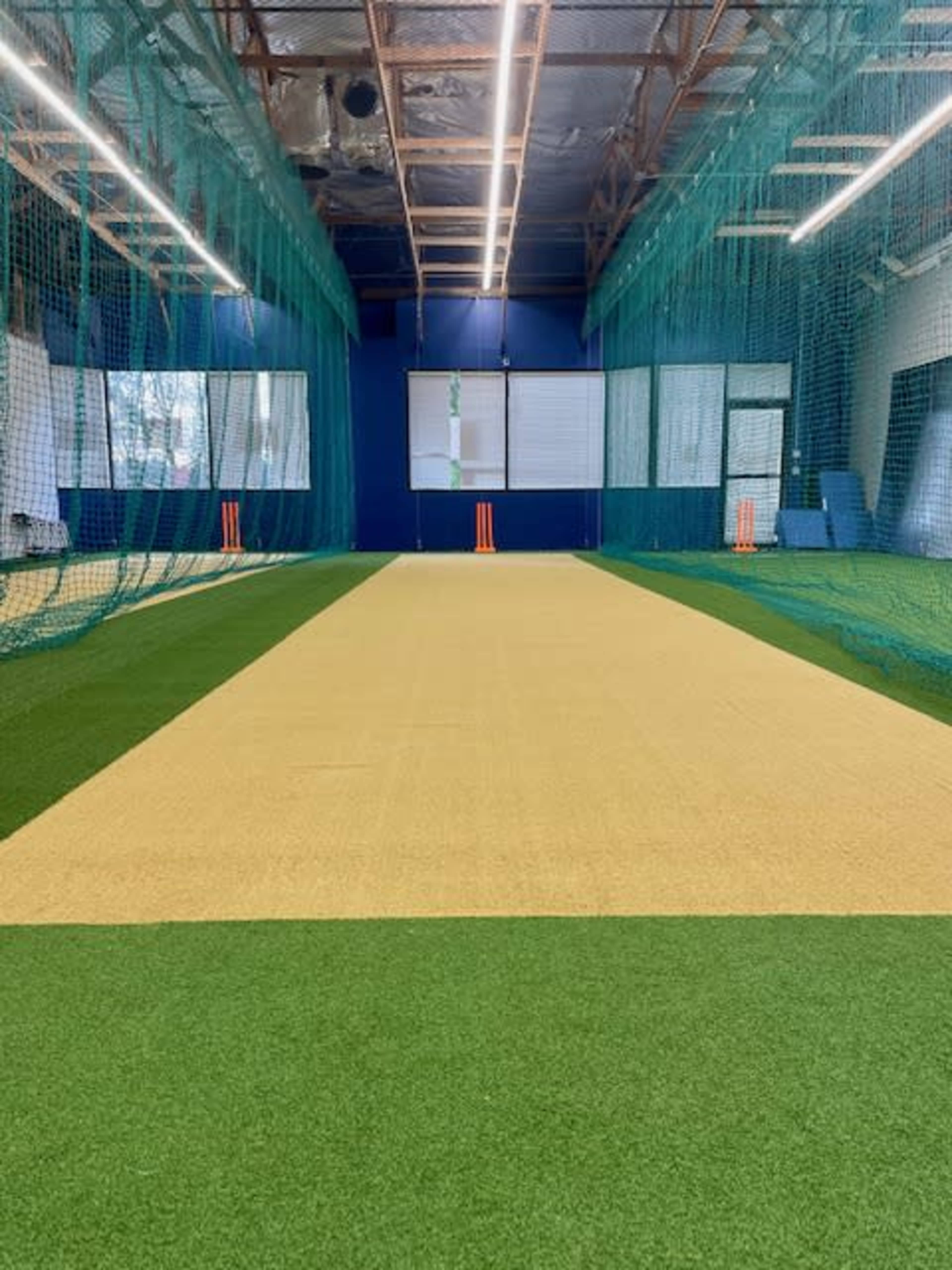 The image shows a cricket practice facility with a synthetic pitch bordered by green turf and netting overhead.