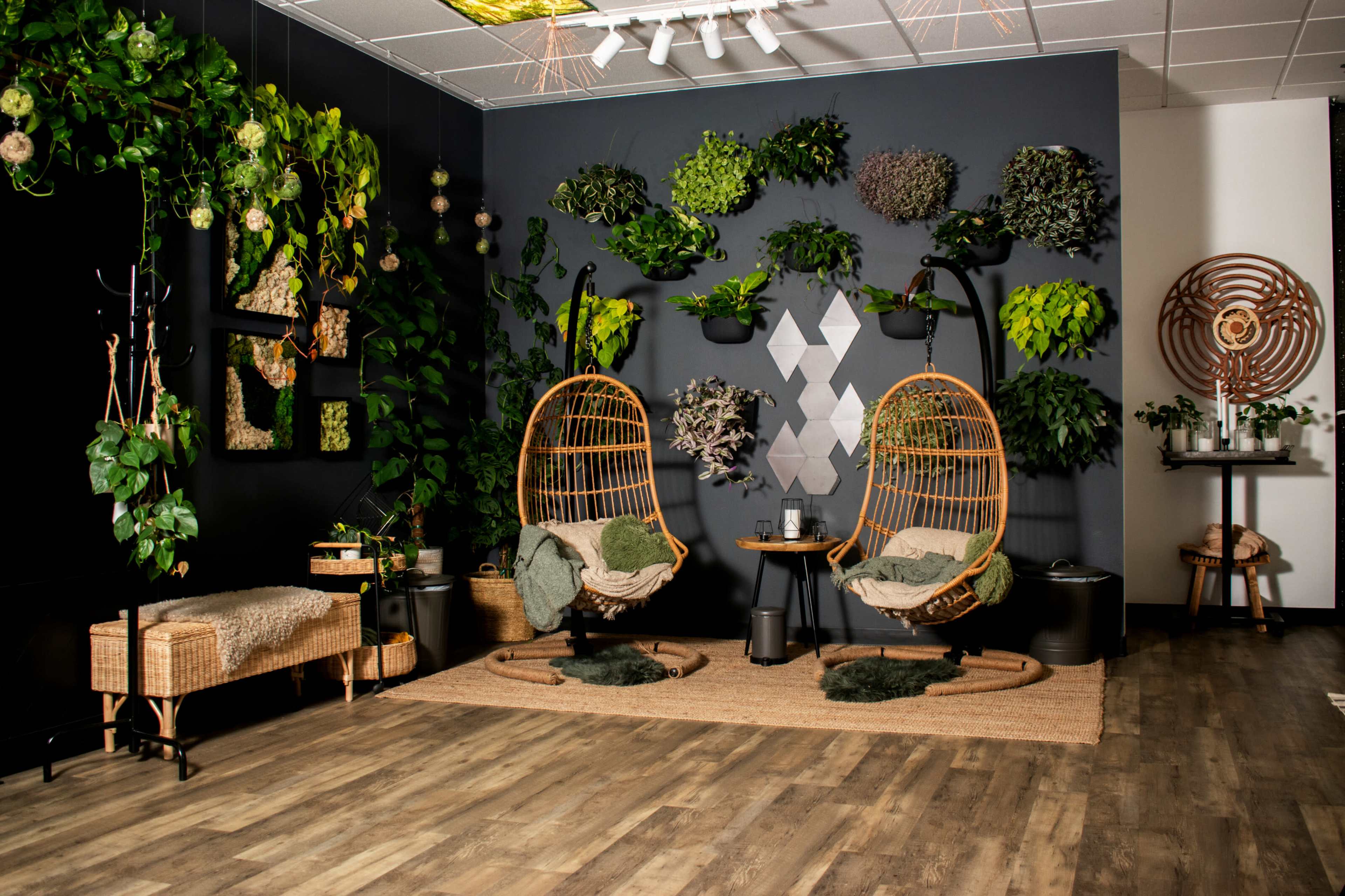 A seating area features two hanging chairs surrounded by various plants and wall-mounted decorative elements on a dark backdrop.