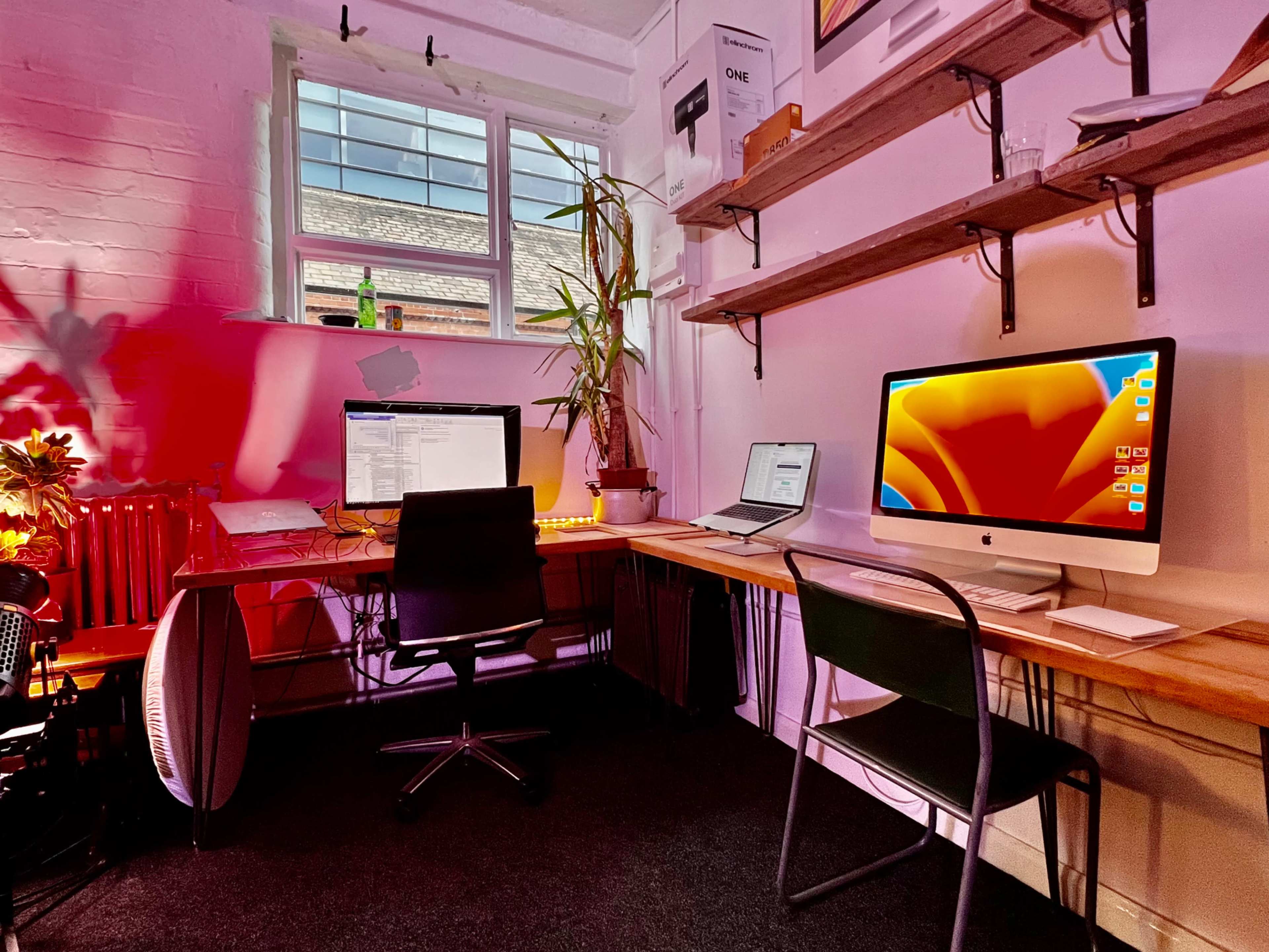 A workspace features two desks with computers, shelves, and a plant in a well-lit room with a window.