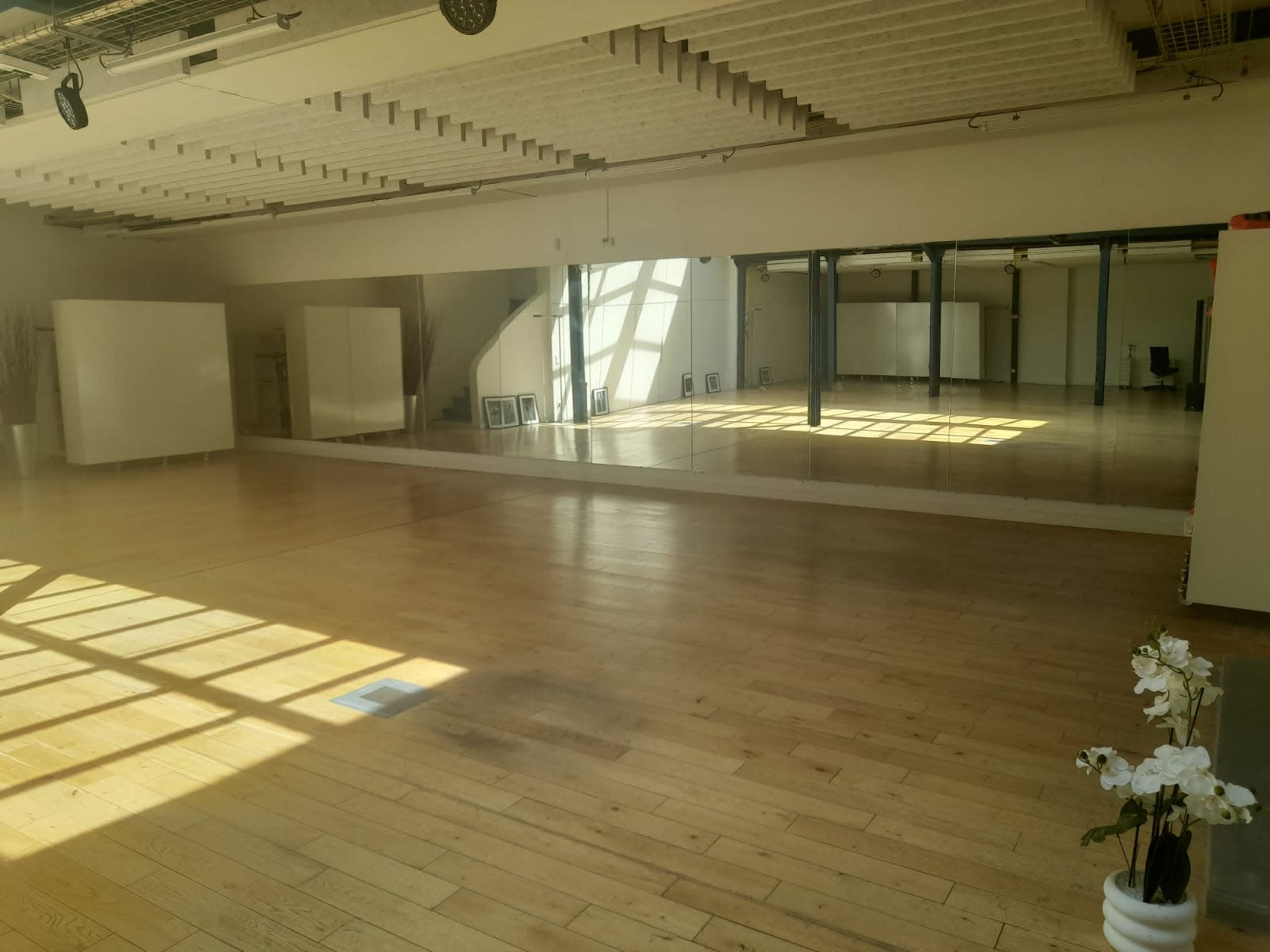 The image shows a spacious, empty room with large windows allowing natural light to illuminate the wooden floor and a long mirror along one wall.