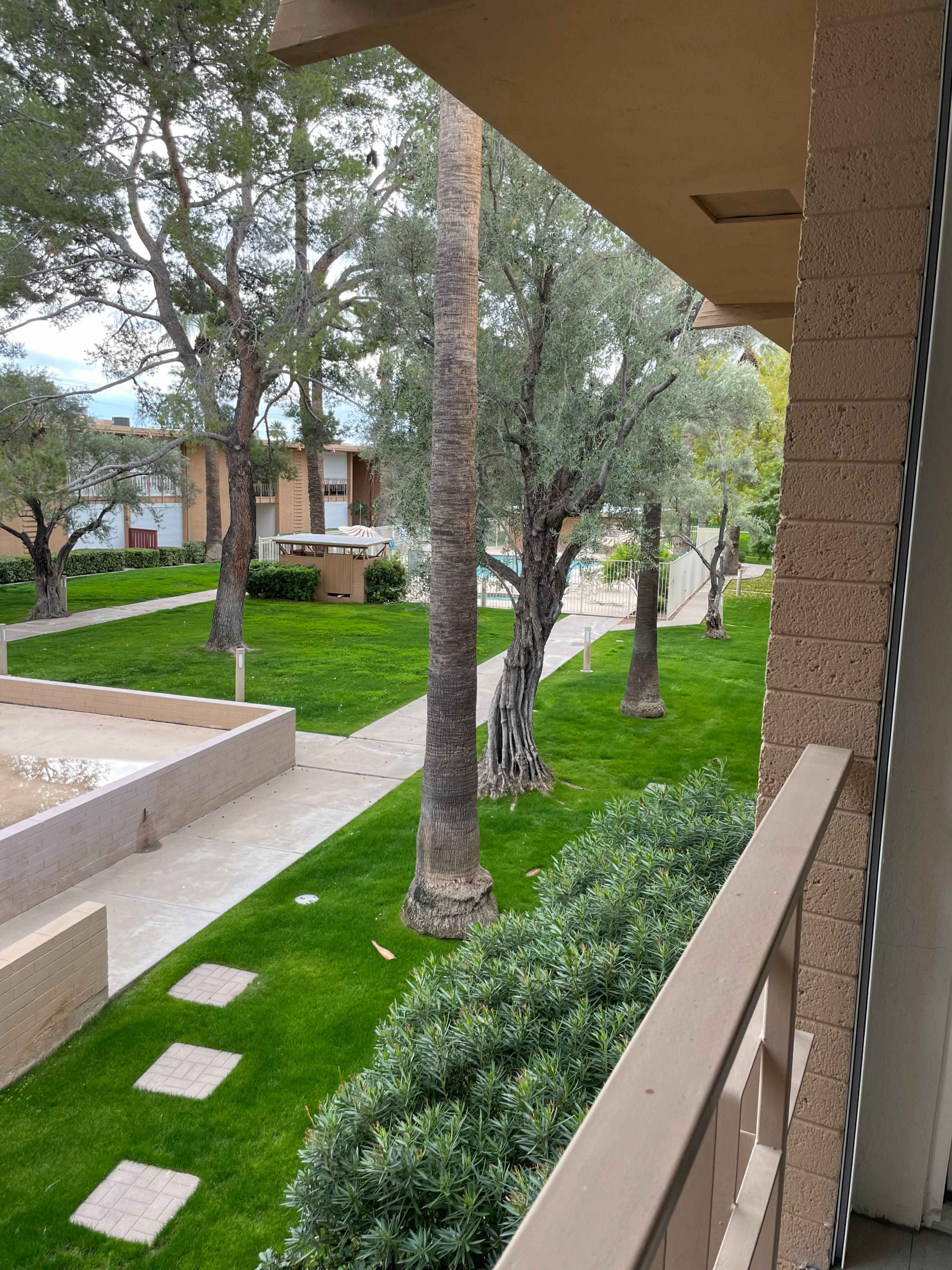 A view from a balcony overlooking a landscaped area with grass, palm trees, and pathways between residential buildings.