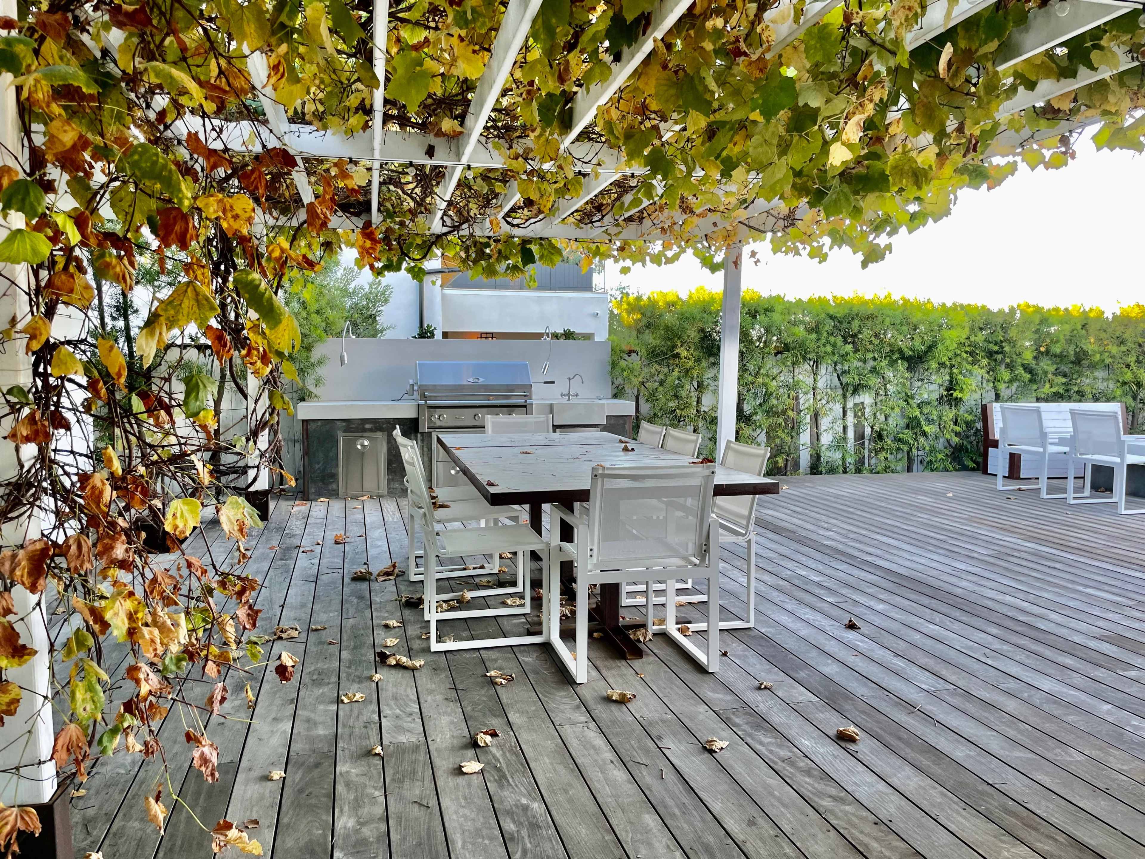 A wooden deck features a dining table surrounded by chairs, with a grill and overhanging vines nearby.