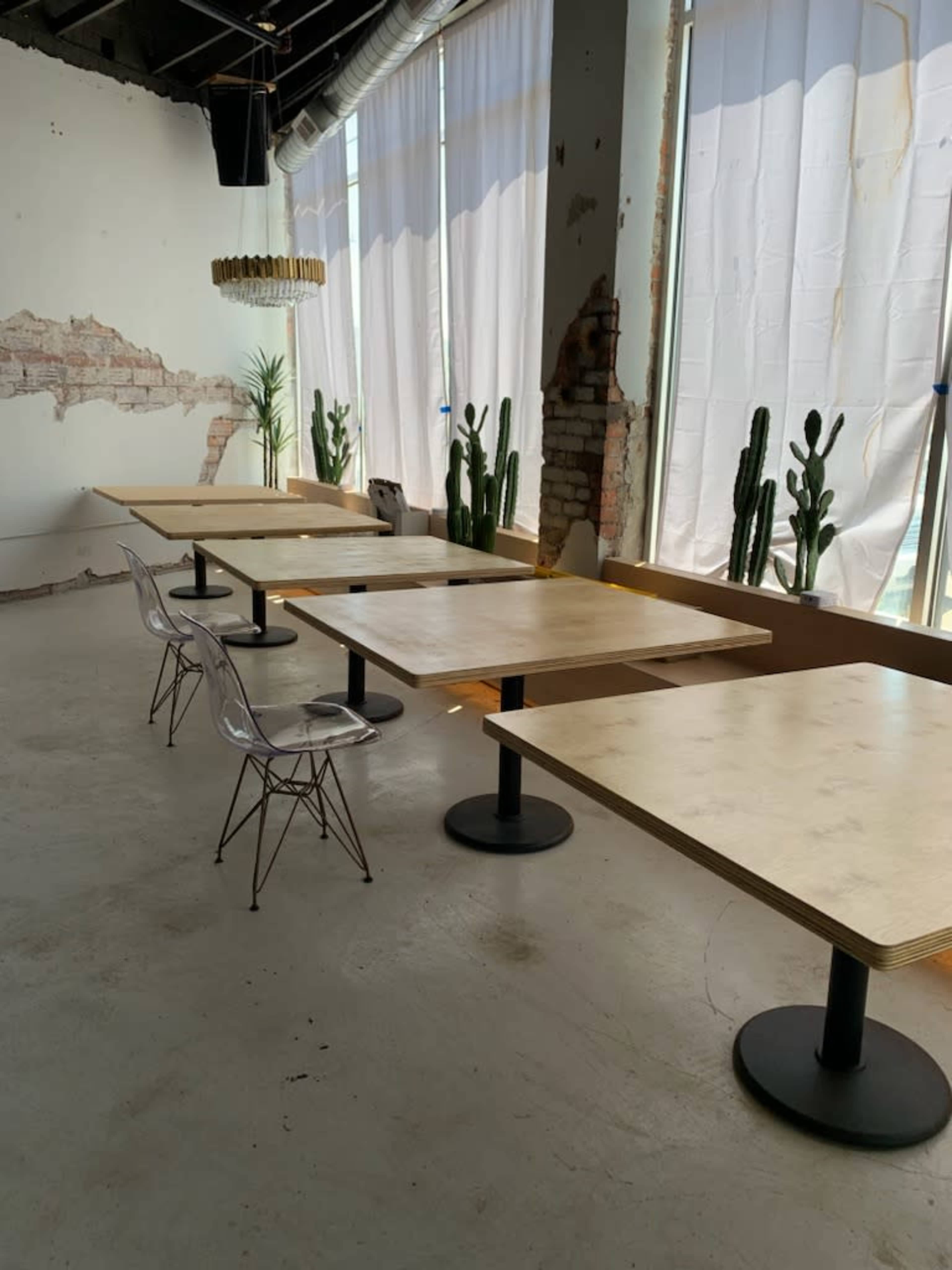 A sunlit room with several wooden tables, clear plastic chairs, and potted cacti along the windows, featuring exposed brick walls.